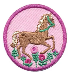 Girl Scout Badge Horseback Riding.jpeg