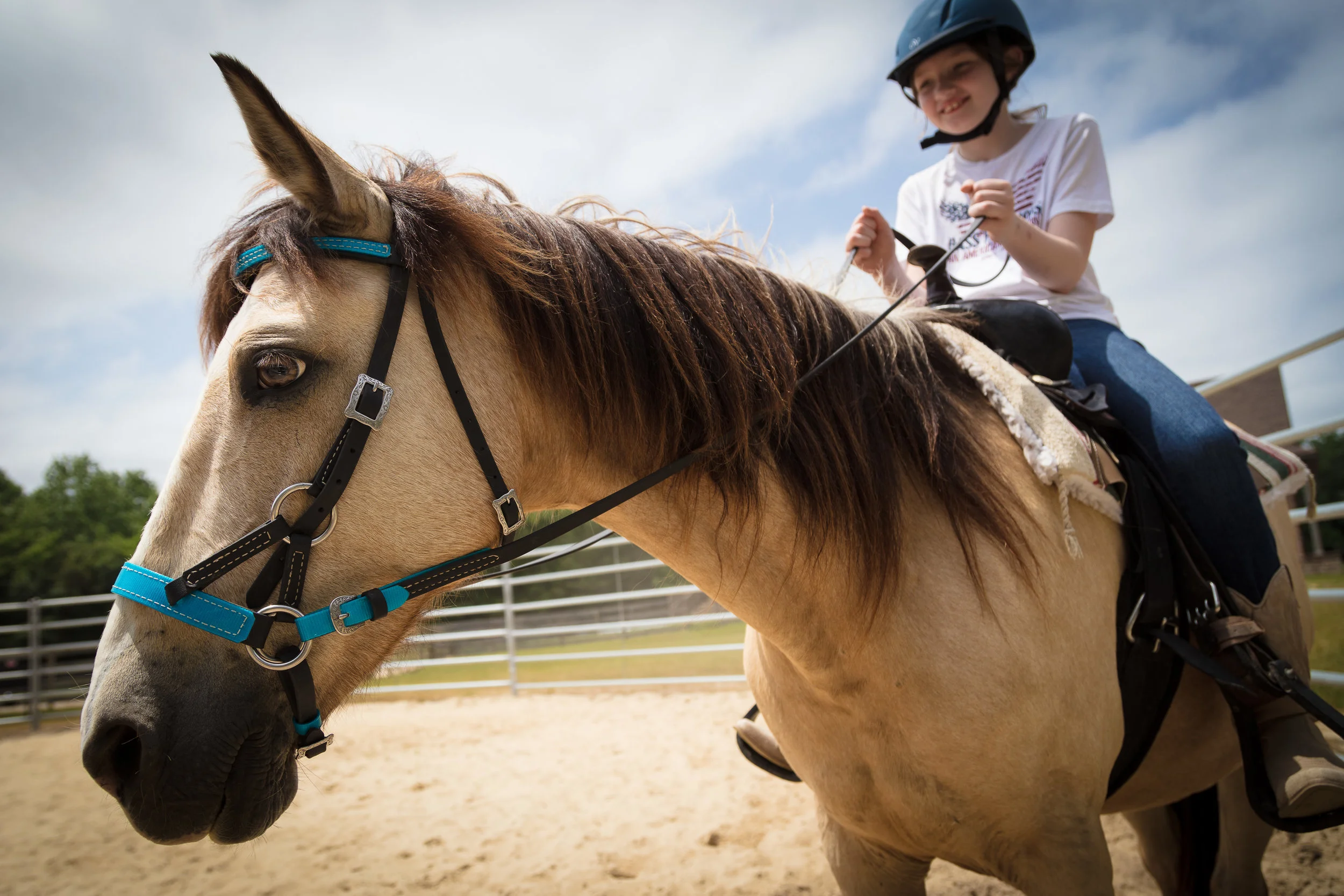 RIDING LESSONS