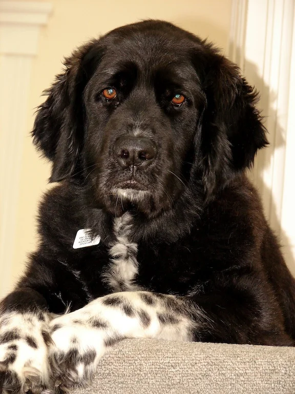 It Happens To All Of Us