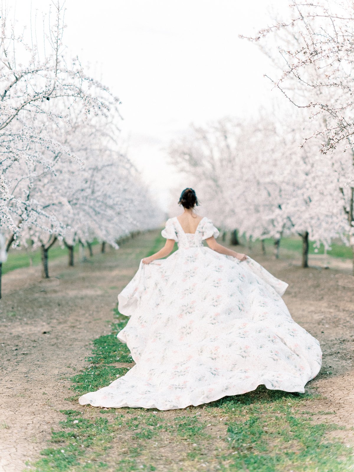 Almond_Orchard_Editorial_Liz_Zimbelman-263.jpg