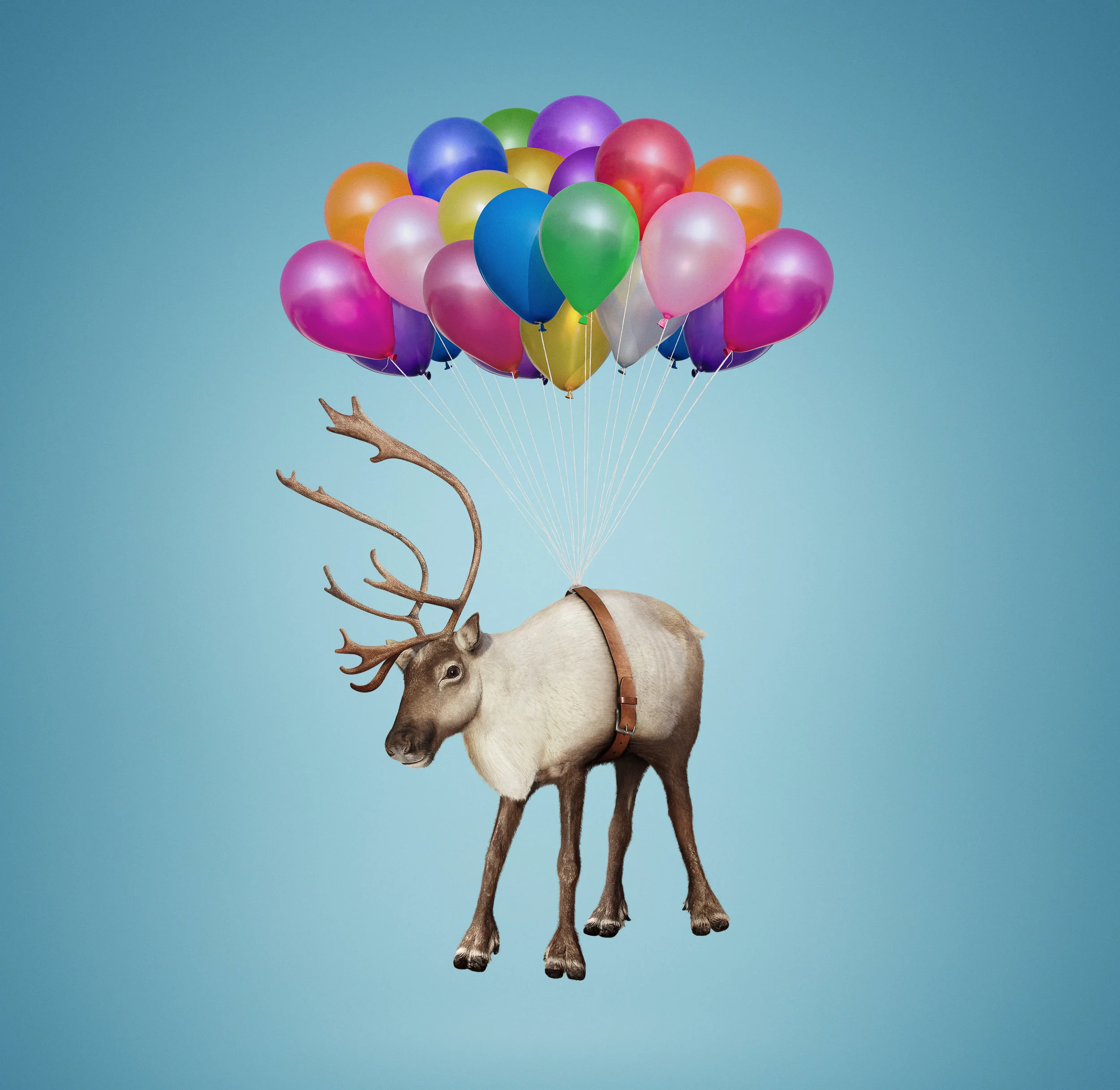 7.11.17 FINAL 2017 Caribou Coffee Flying Bou Image.jpg