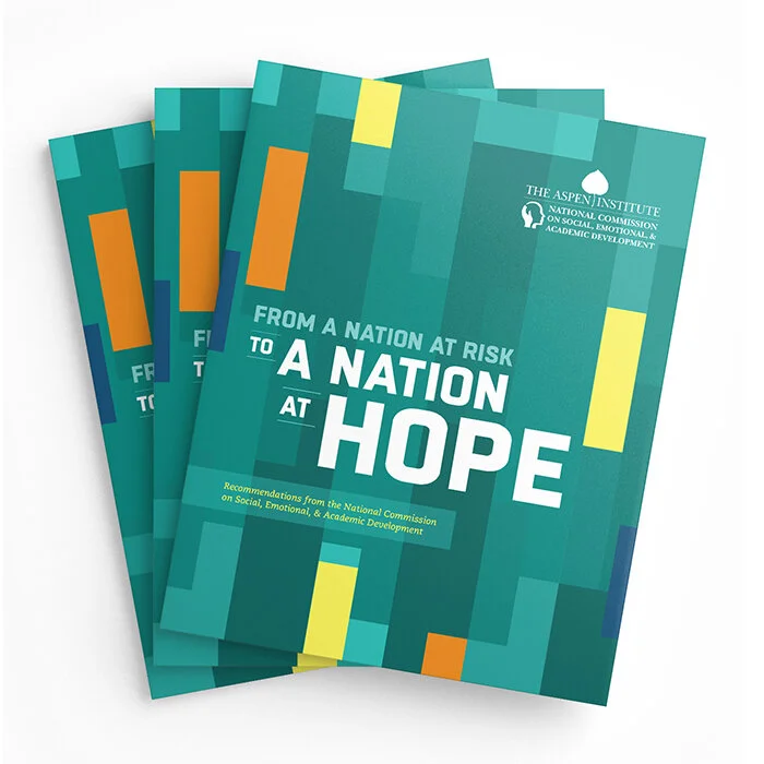 Final report small square.jpg