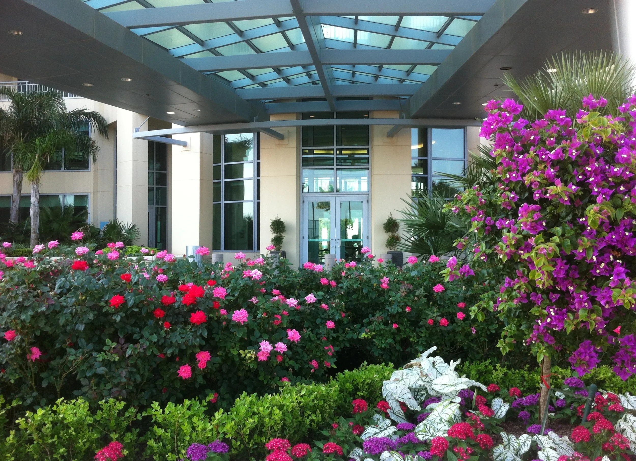 Palisade Palms- Entry Landscaping.JPG