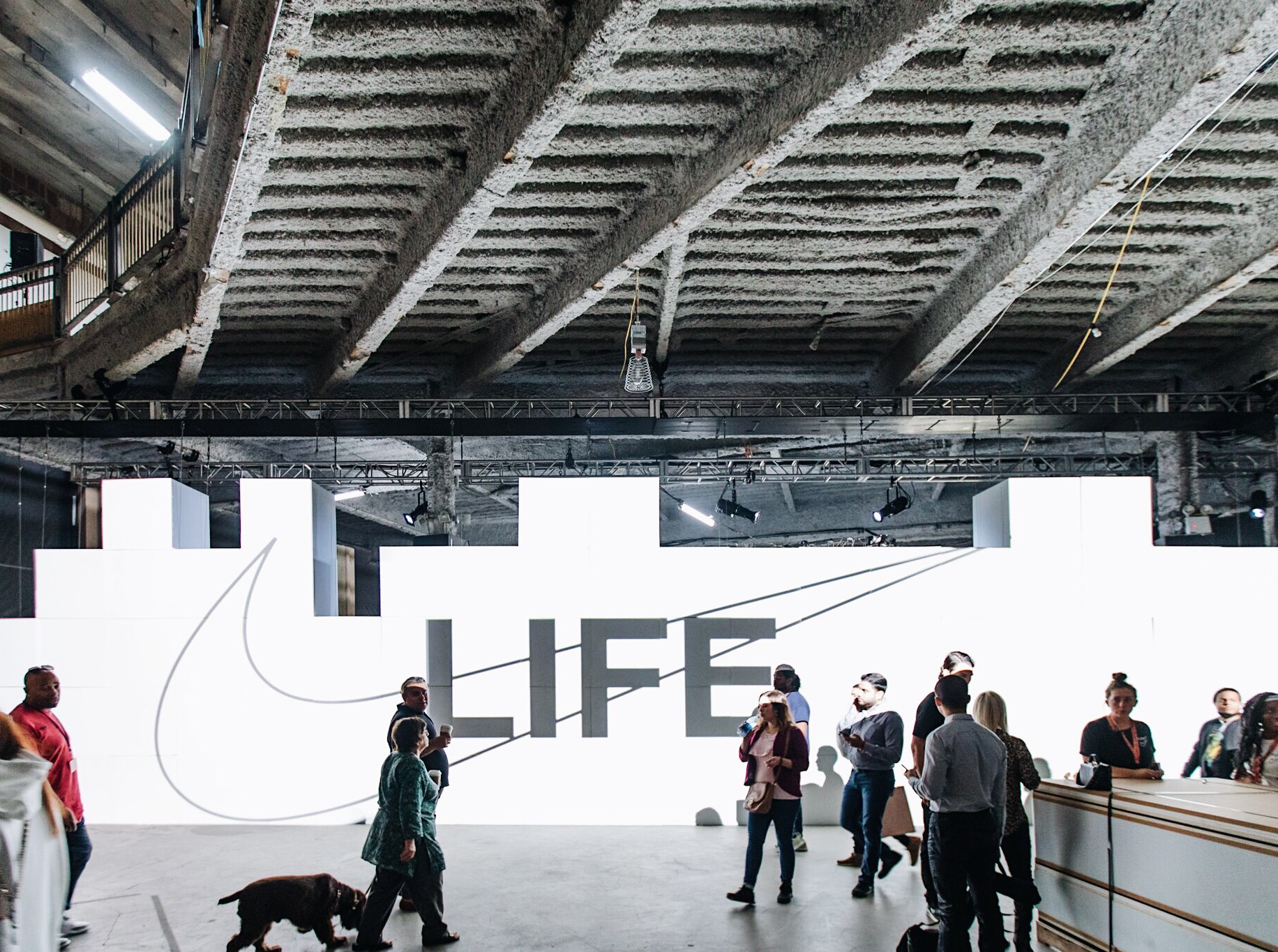 Photo Gallery — Skylight