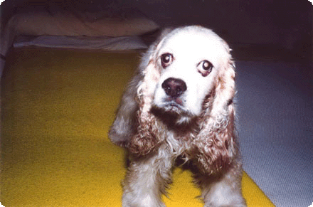 03a.gif