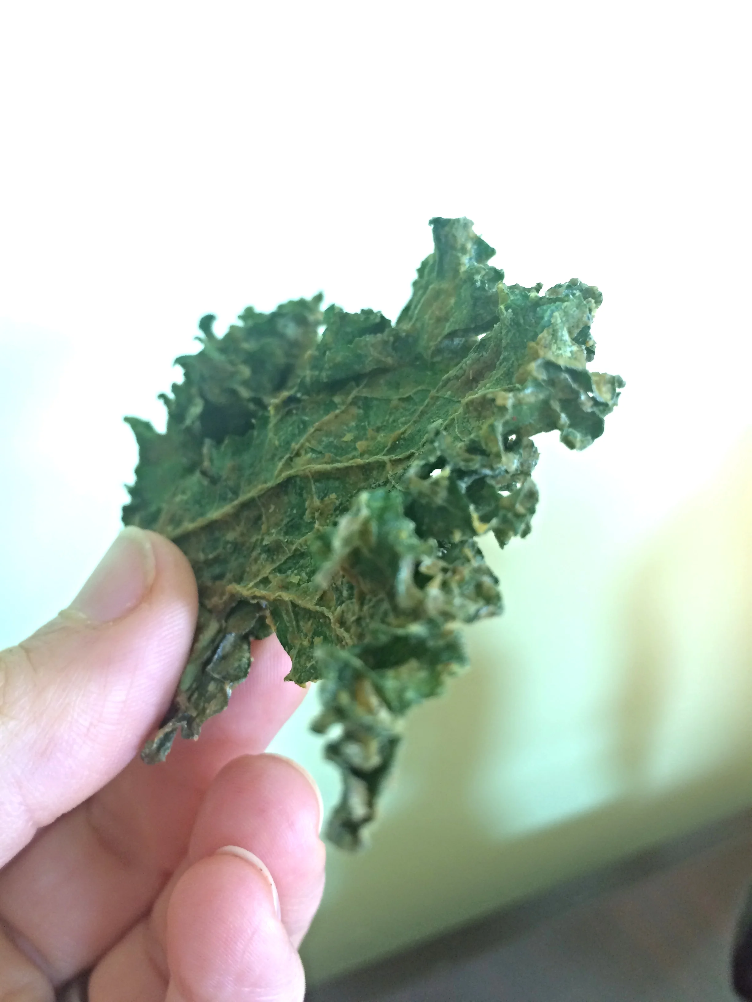 A Crispy, Crunchy, Healthy Raw Snack:  Spicy Nacho Kale Chips