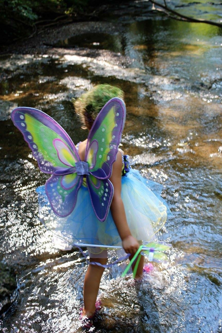 FAIRY 1.jpg