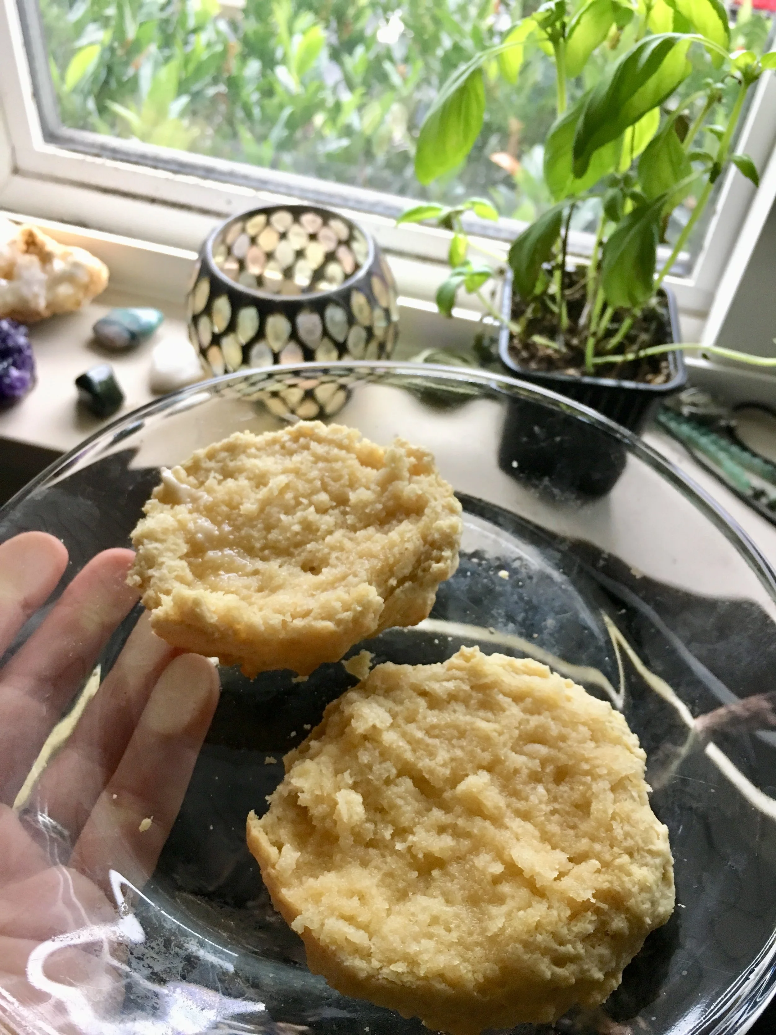 Southern Biscuits Veganized and a Quick Life Update