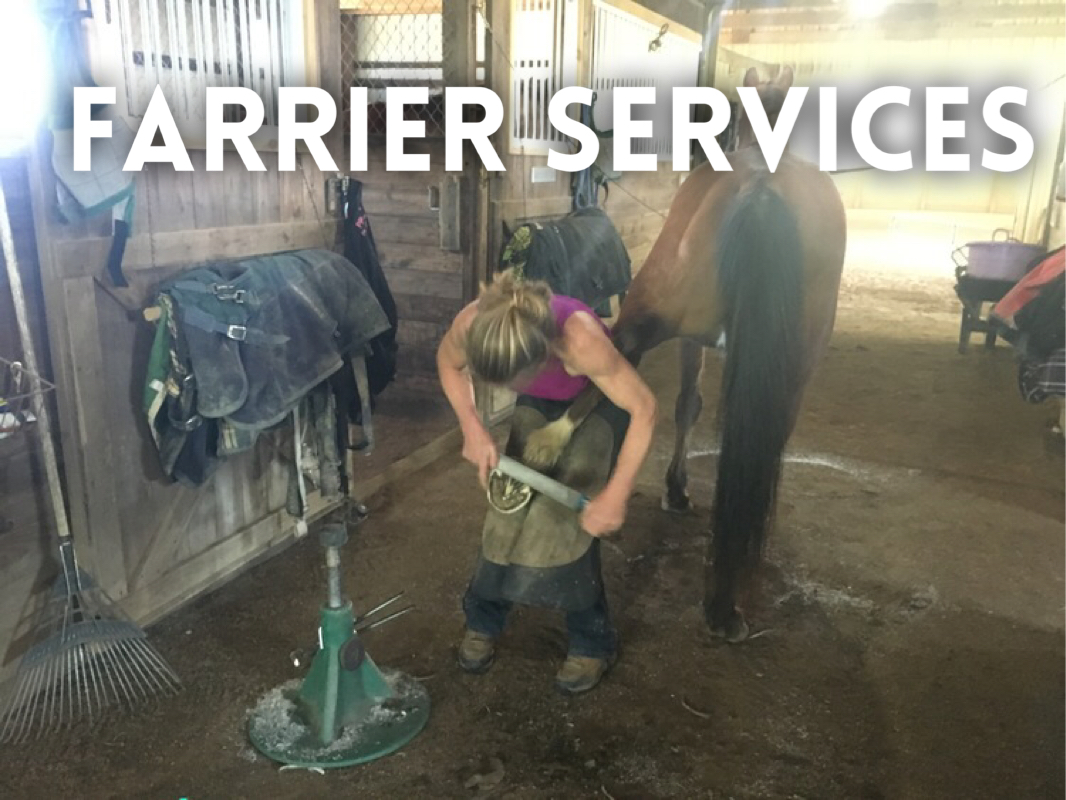 Farrier Services