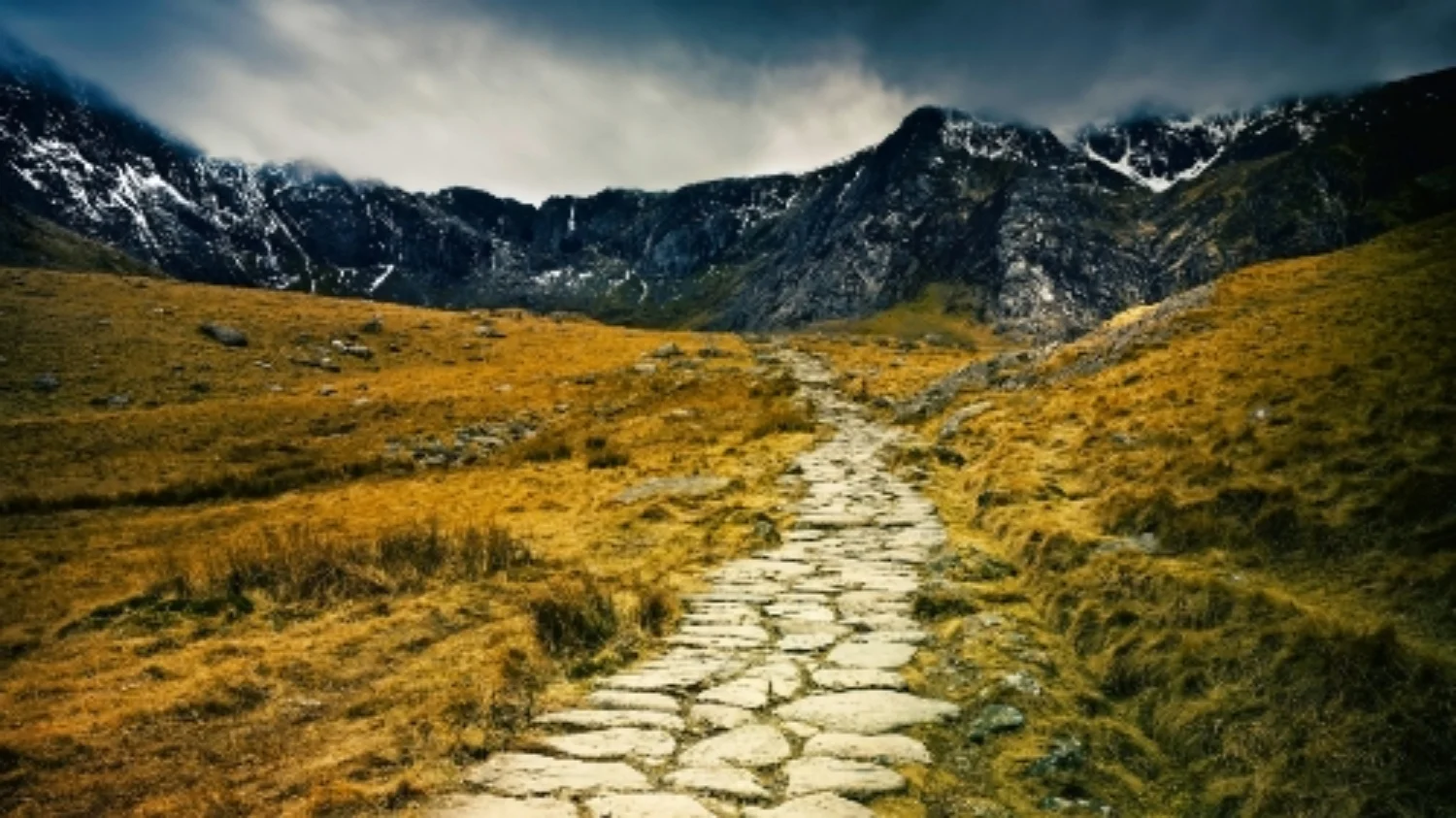 It’s your journey – choose your path