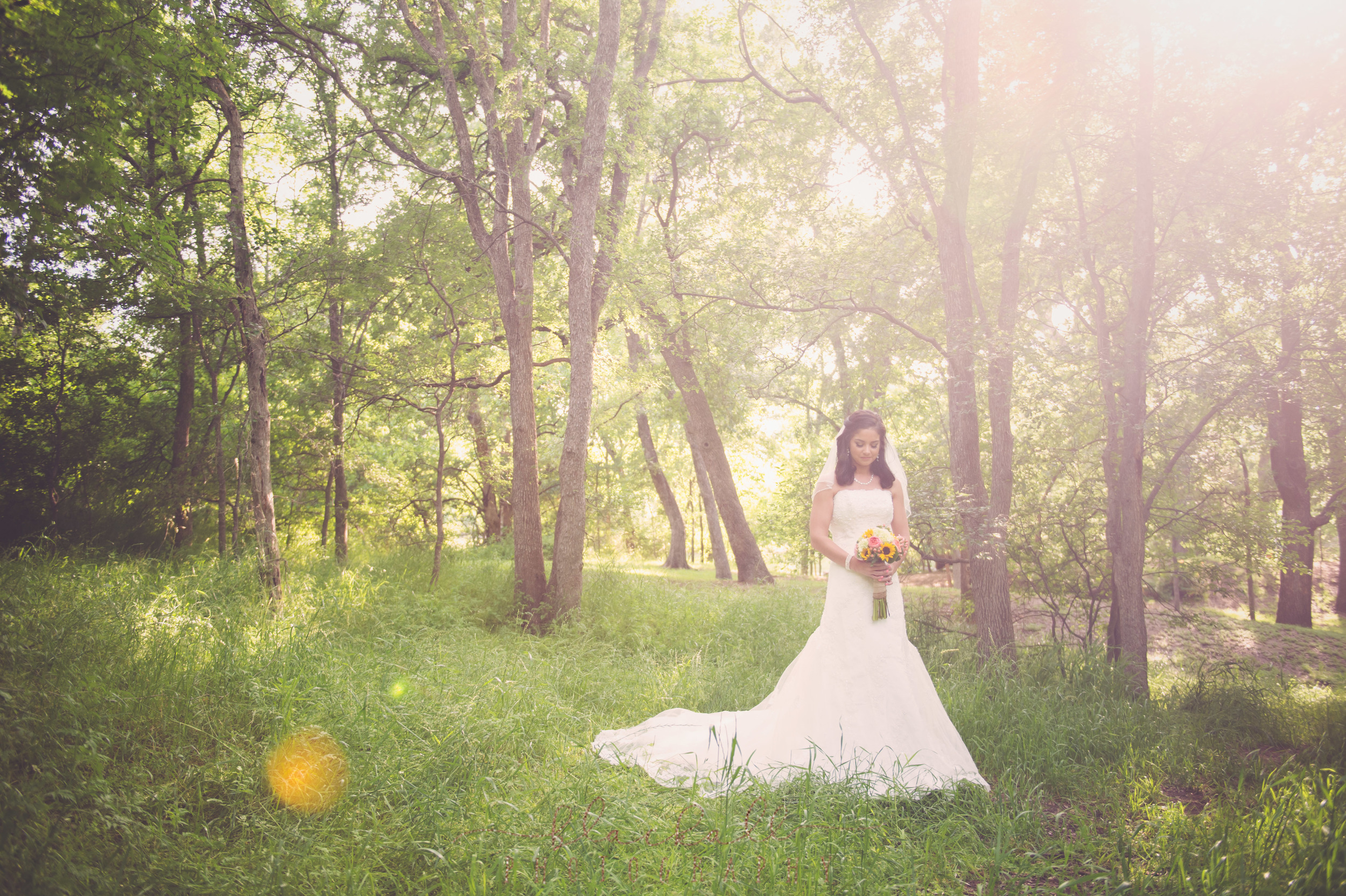 Christie S Bridals Grapevine Botanical Gardens Texas Wedding
