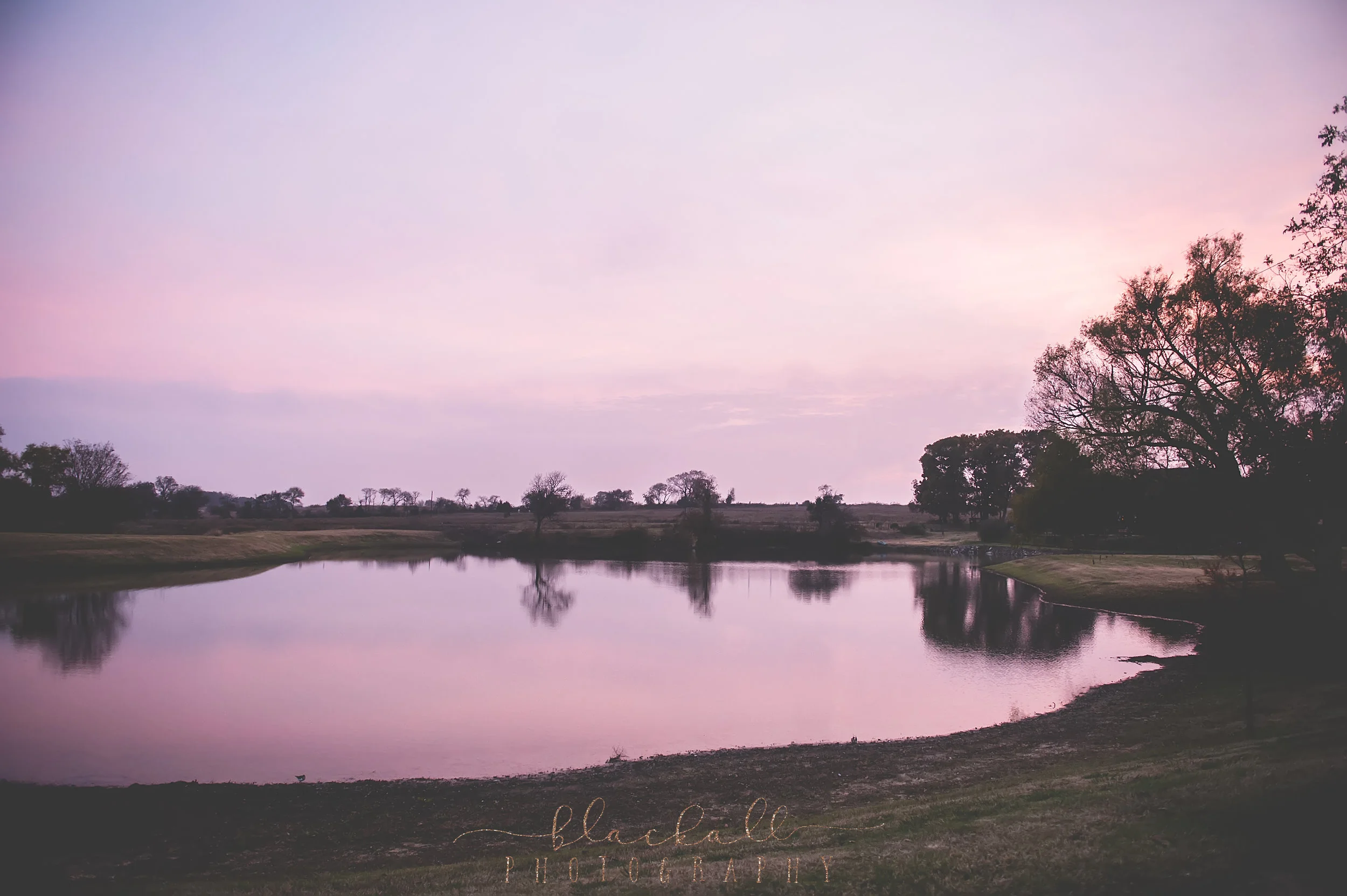 M&M WEDDING_Blackall Photography-26.JPG