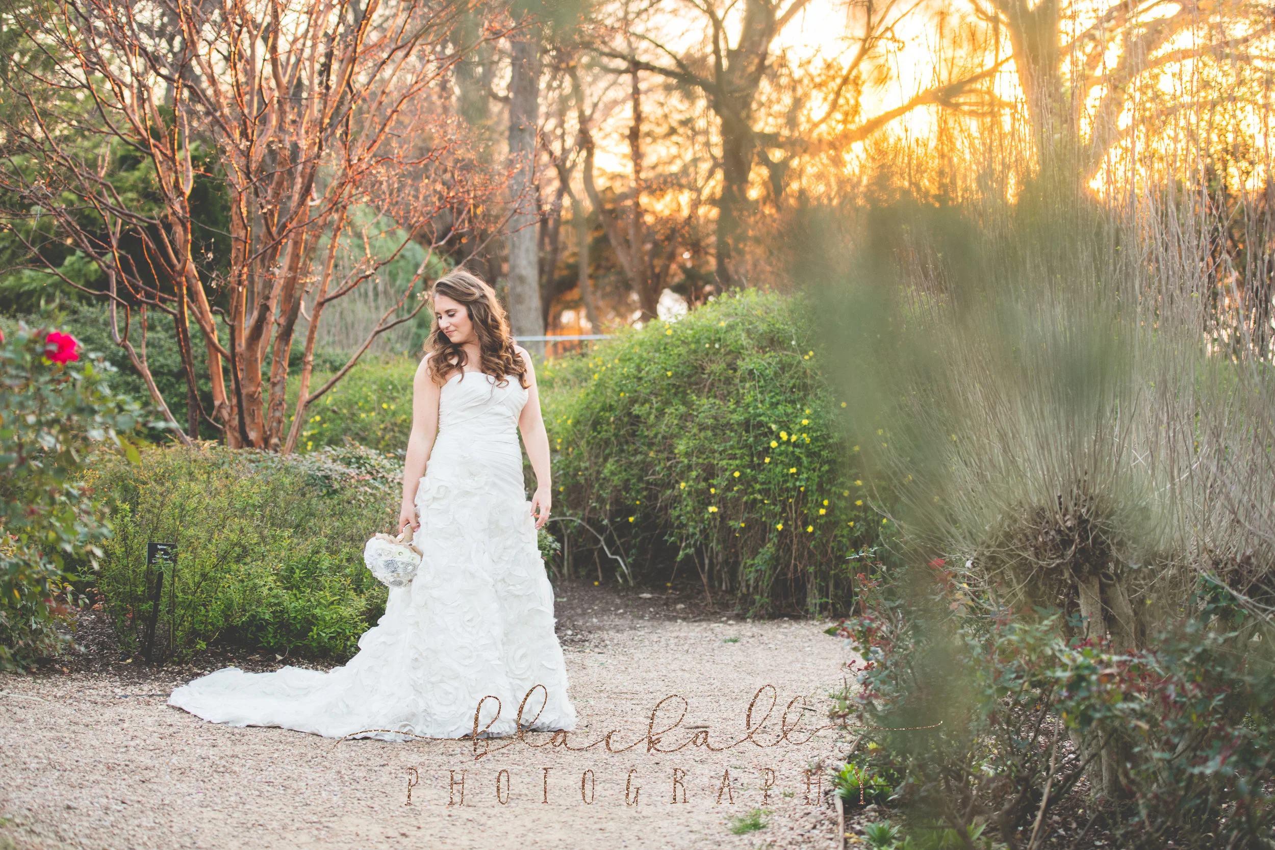 BRIDALS_BlackallPhotography_63.jpg