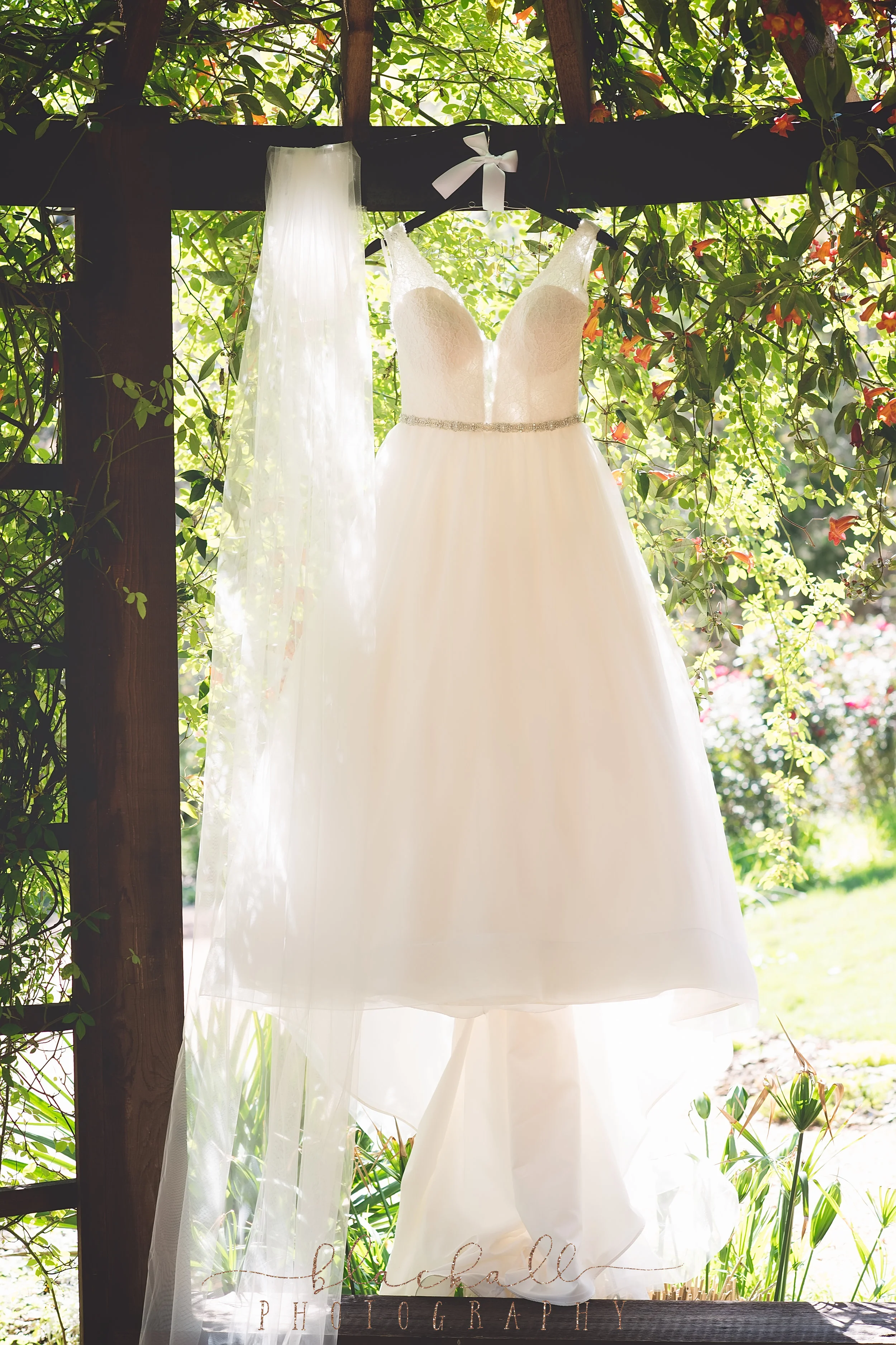 hayward previews_BlackallPhotography_9.JPG