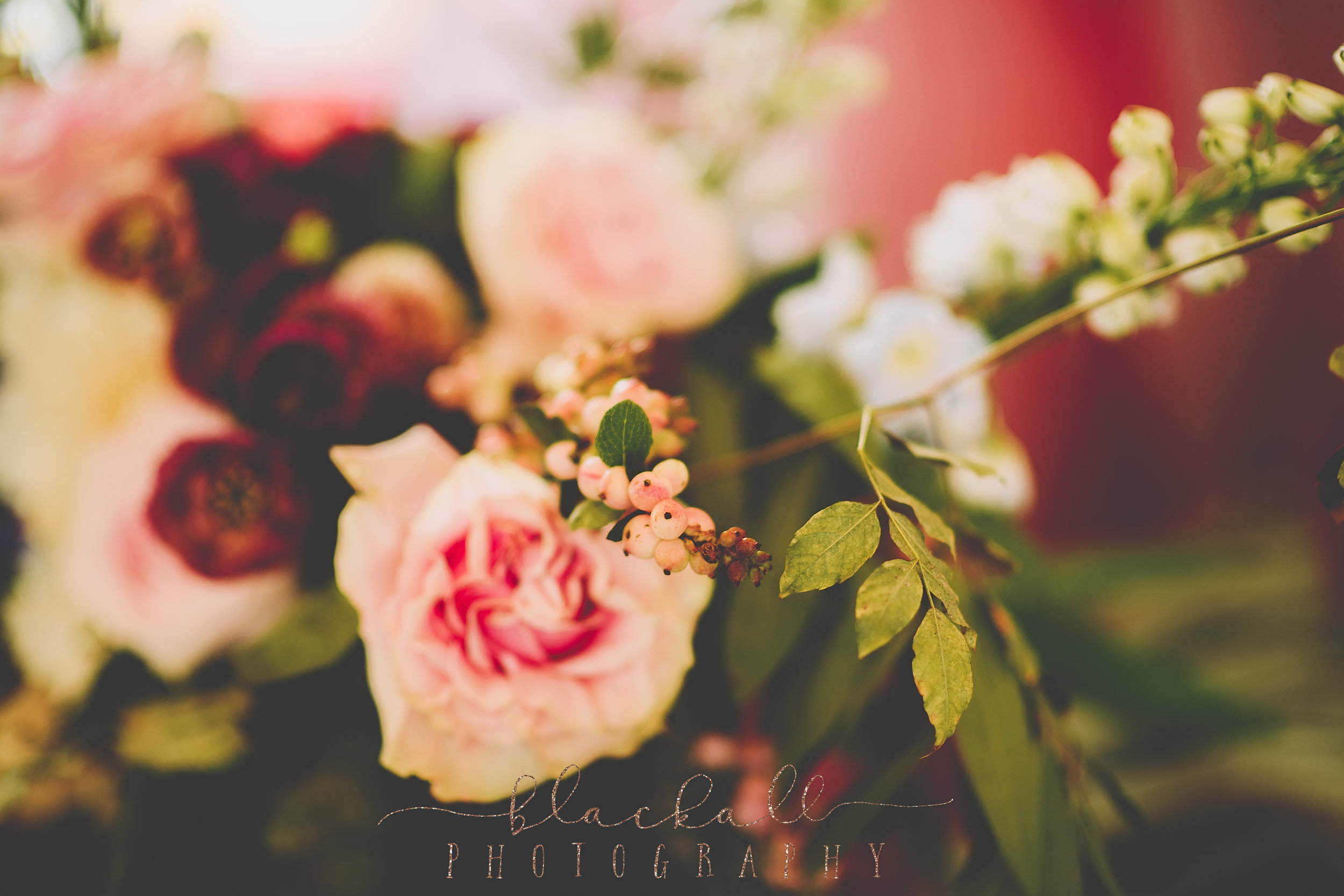 HHR_BlackallPhotography_16.JPG