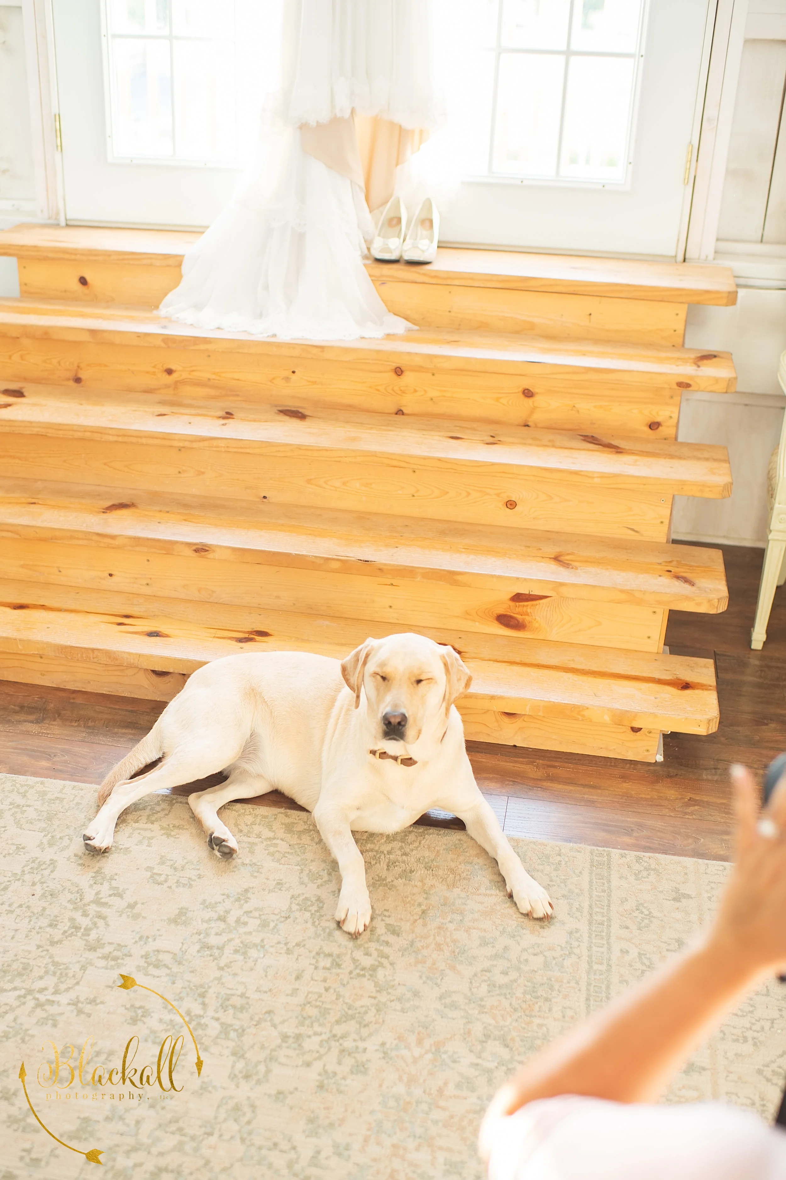  Modeling can be a ruff job. 😆 