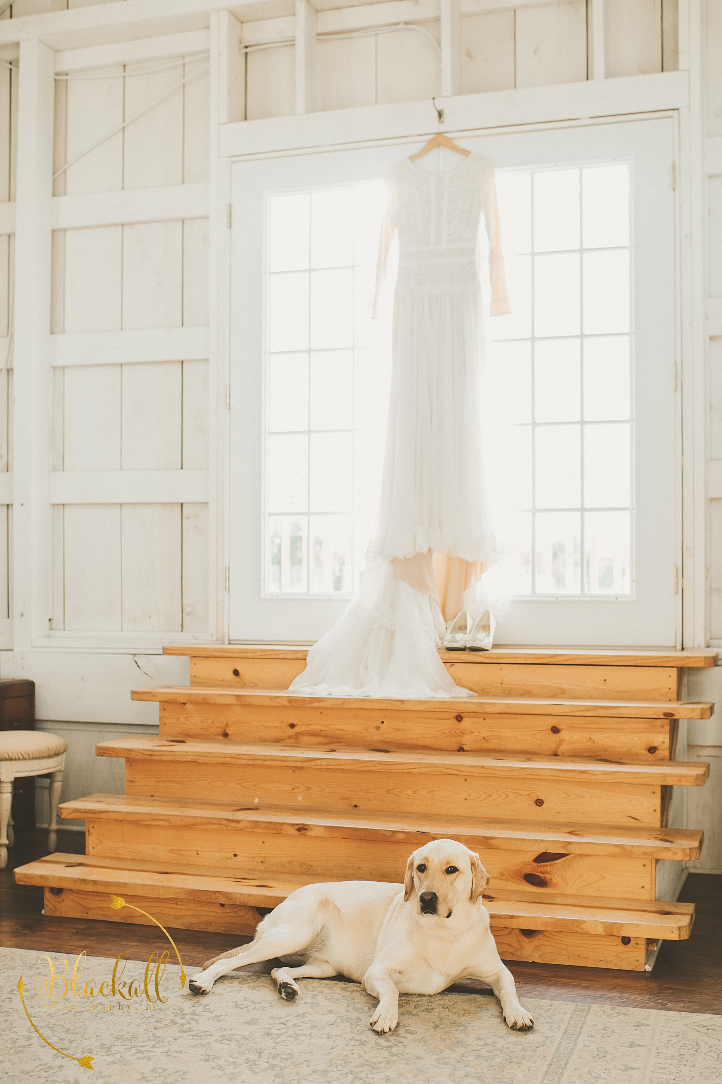  Wedding Gown Guard Dog 