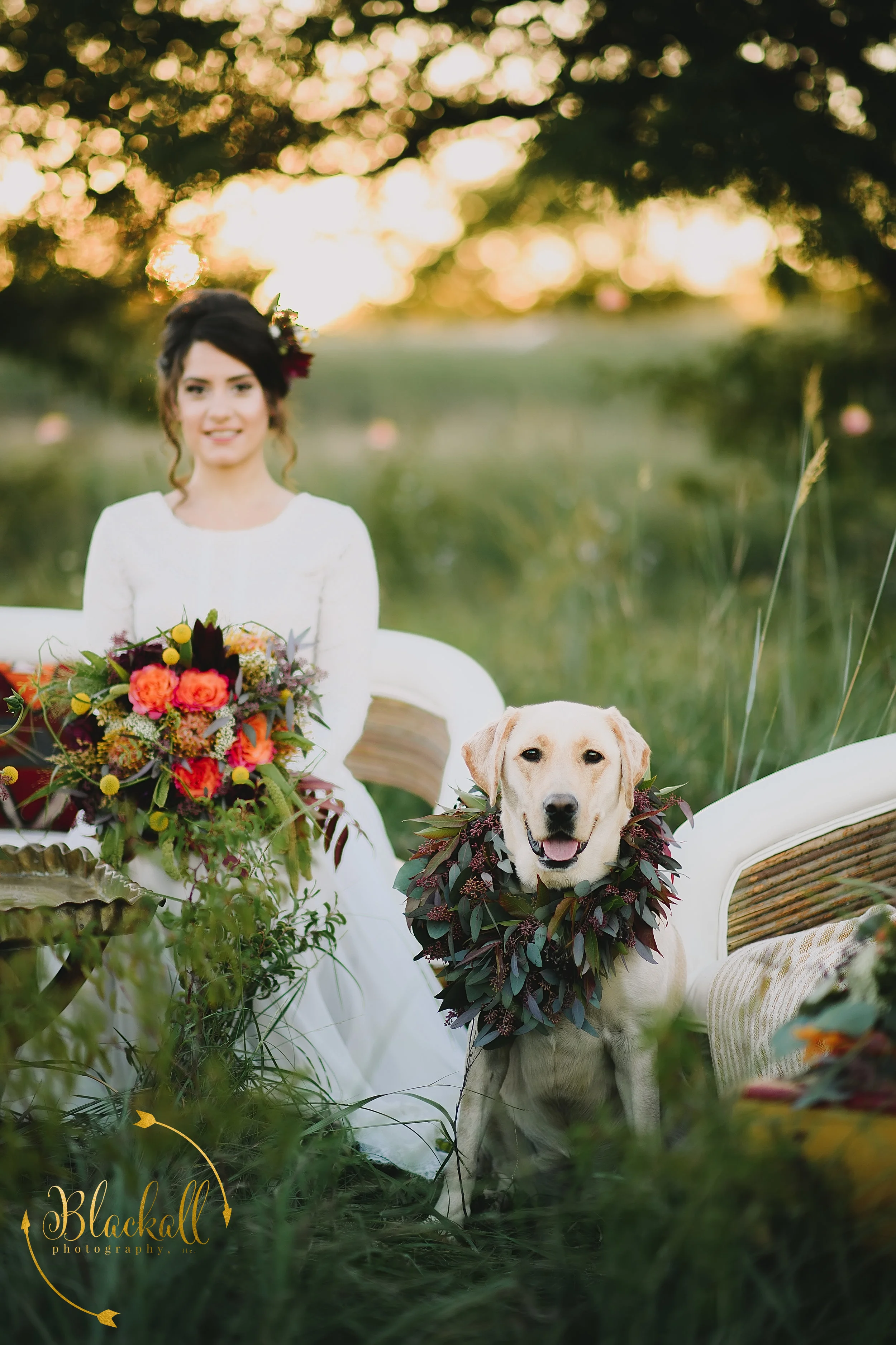  This dog seriously has my heart!  