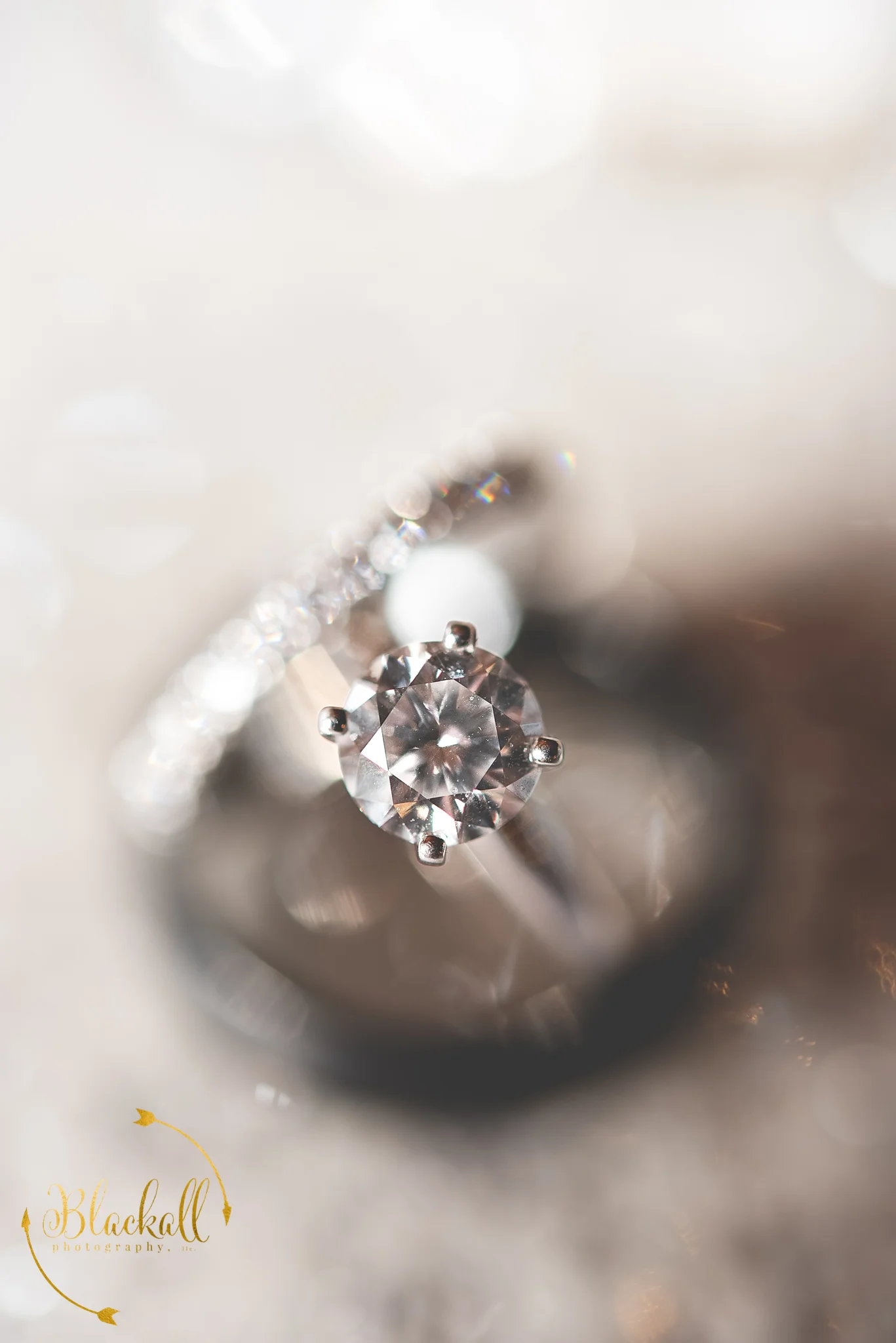 BlackallPhotography_6.JPG