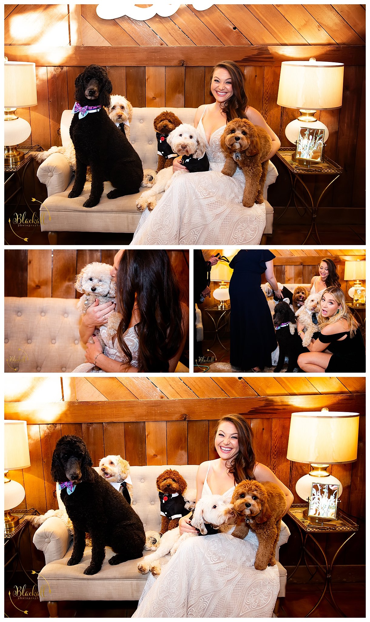  If the question is… should we bring our family dogs to our wedding? The answer from me will always be YES!!  