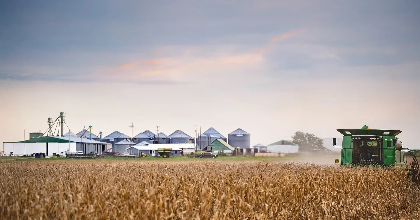 My morning&rsquo;s office view? A herd of curious cows and the roar of a combine rolling through the cornfields over at MBS SEED &amp; GRAIN. 🐄🌽🚜

Y&rsquo;all, the farmers of America are truly the backbone of this country. They&rsquo;re up before 
