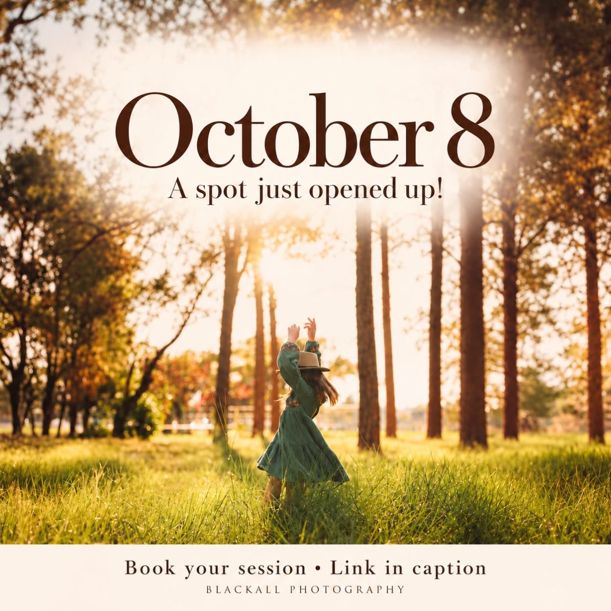 An October 8 session spot just just opened up at 5pm! 🍂 If you&rsquo;ve been hoping for October portraits, this is my only available October date.

4, 5, and 17 are all that&rsquo;s available for November!

Book your session: www.blackallphotography