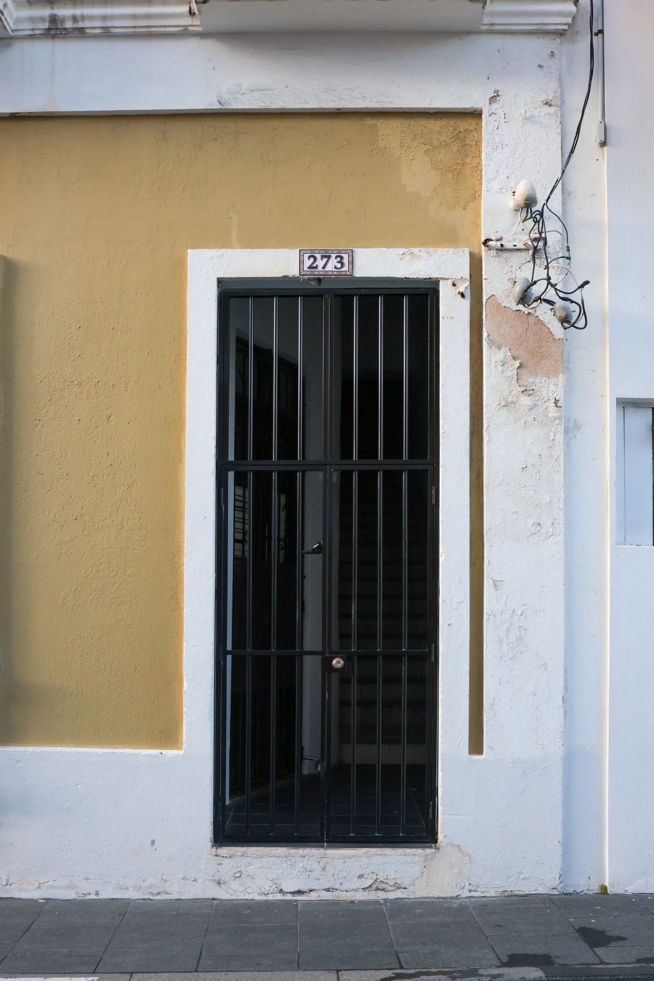 2024_1120_SanJuan-Doors-29.jpg