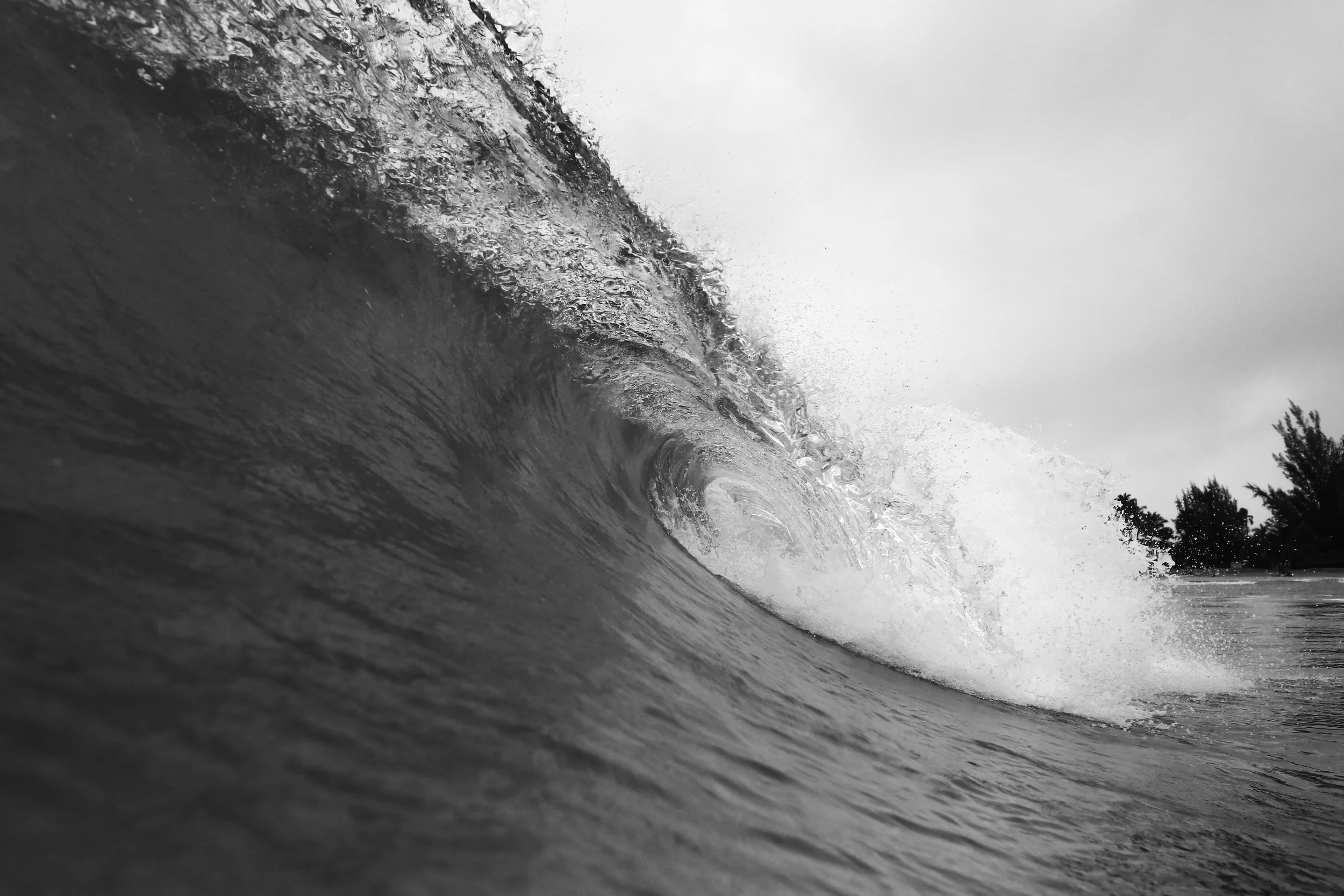 kauai-78.jpg