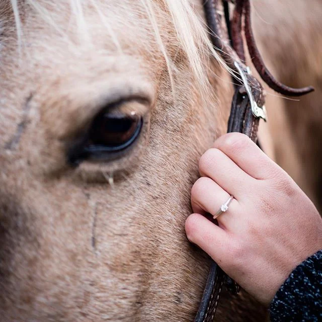 I love detail shots! #engaged #engagementring #engagementphotos #love #palomino #diamonds #leatheranddiamonds ##weddingphotography #horse #tellyourstory #naturallightphotography #ilovemyjob