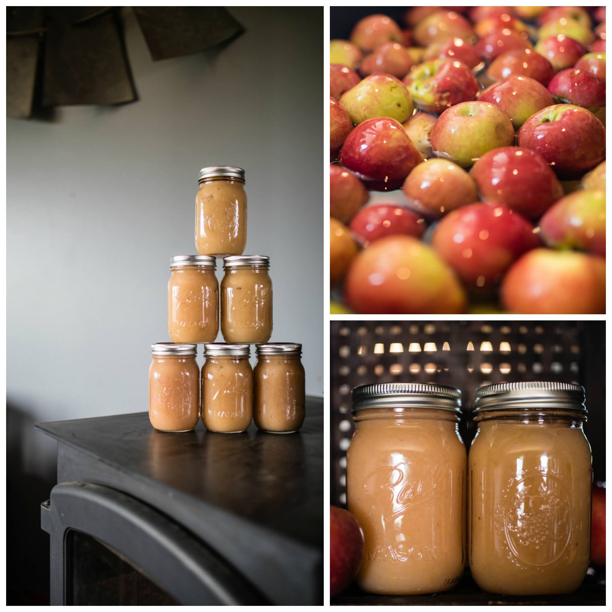 Applesauce Collage.jpg