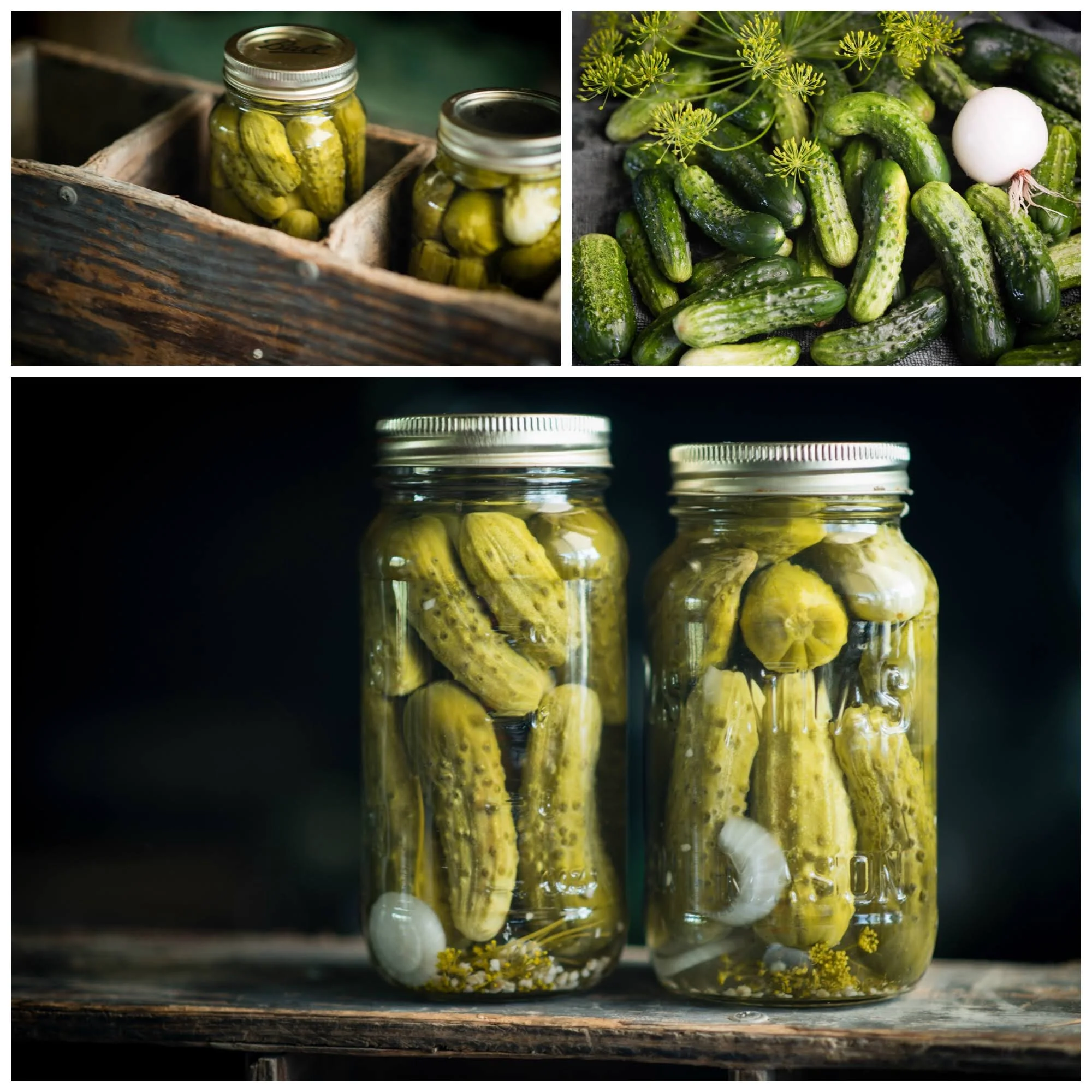 Pickle Collage.jpg