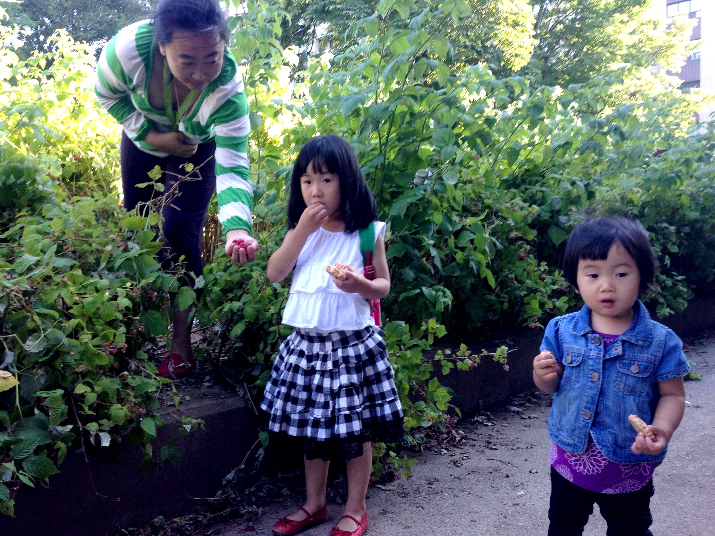  A parent and two children standing in the HOPE Community Garden. The parent is offering one child a handful of berries from the garden. 