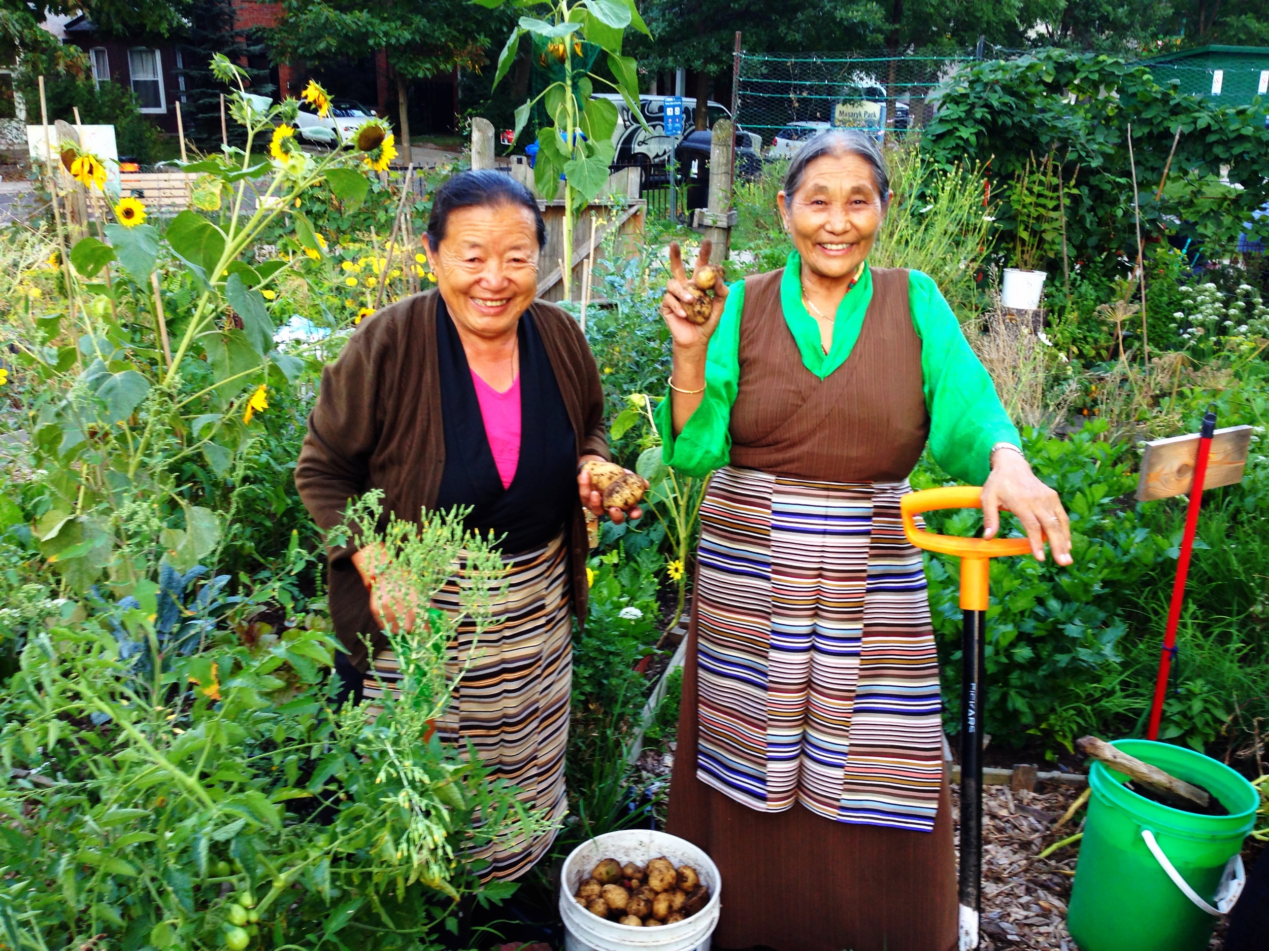  Two women standing in front of garden plots with a bucket of potatoes and smiling 
