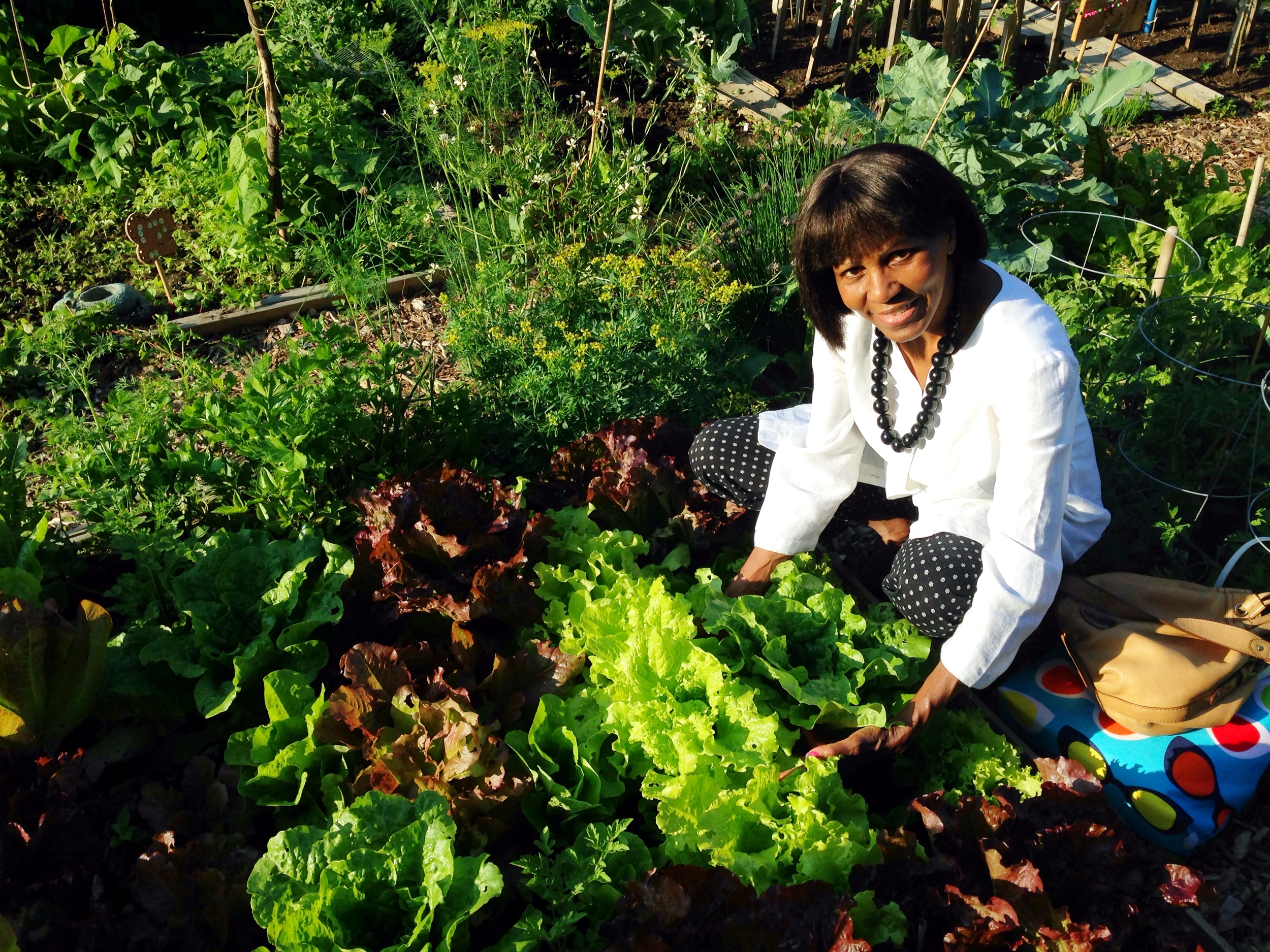  A woman crouching in front of a bin of freshly harvested lettuce in the HOPE Community Garden 