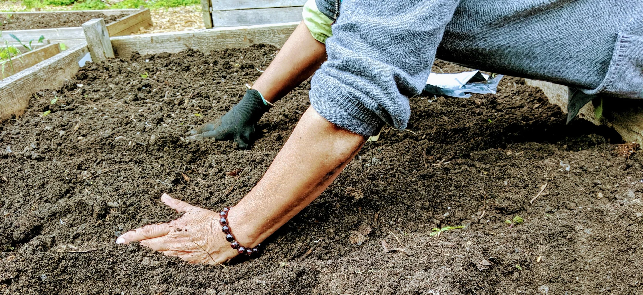 IMG_20190604_112013.jpg