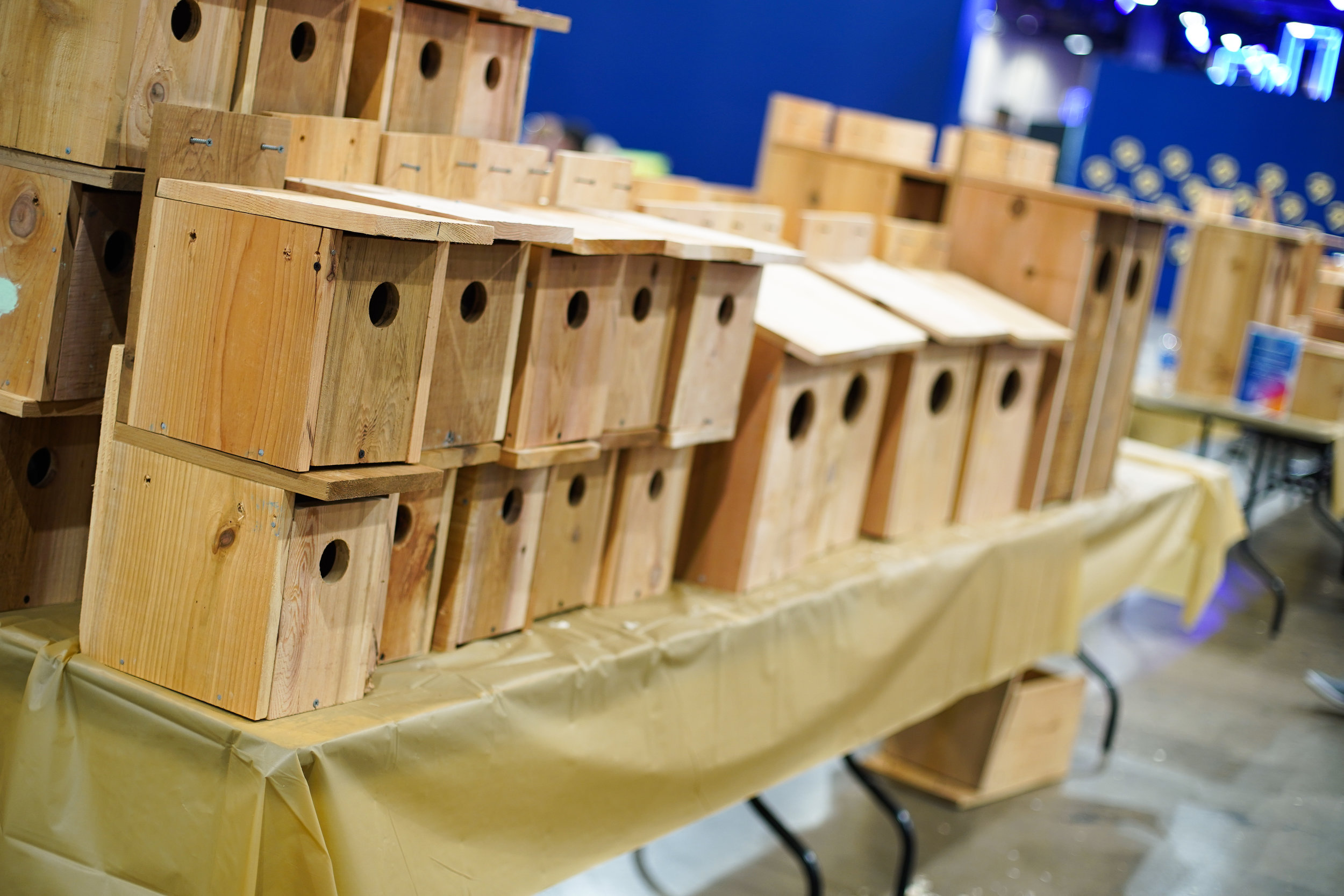 Animals-Finished-Nesting-Boxes-ATT-Dallas-18.jpg