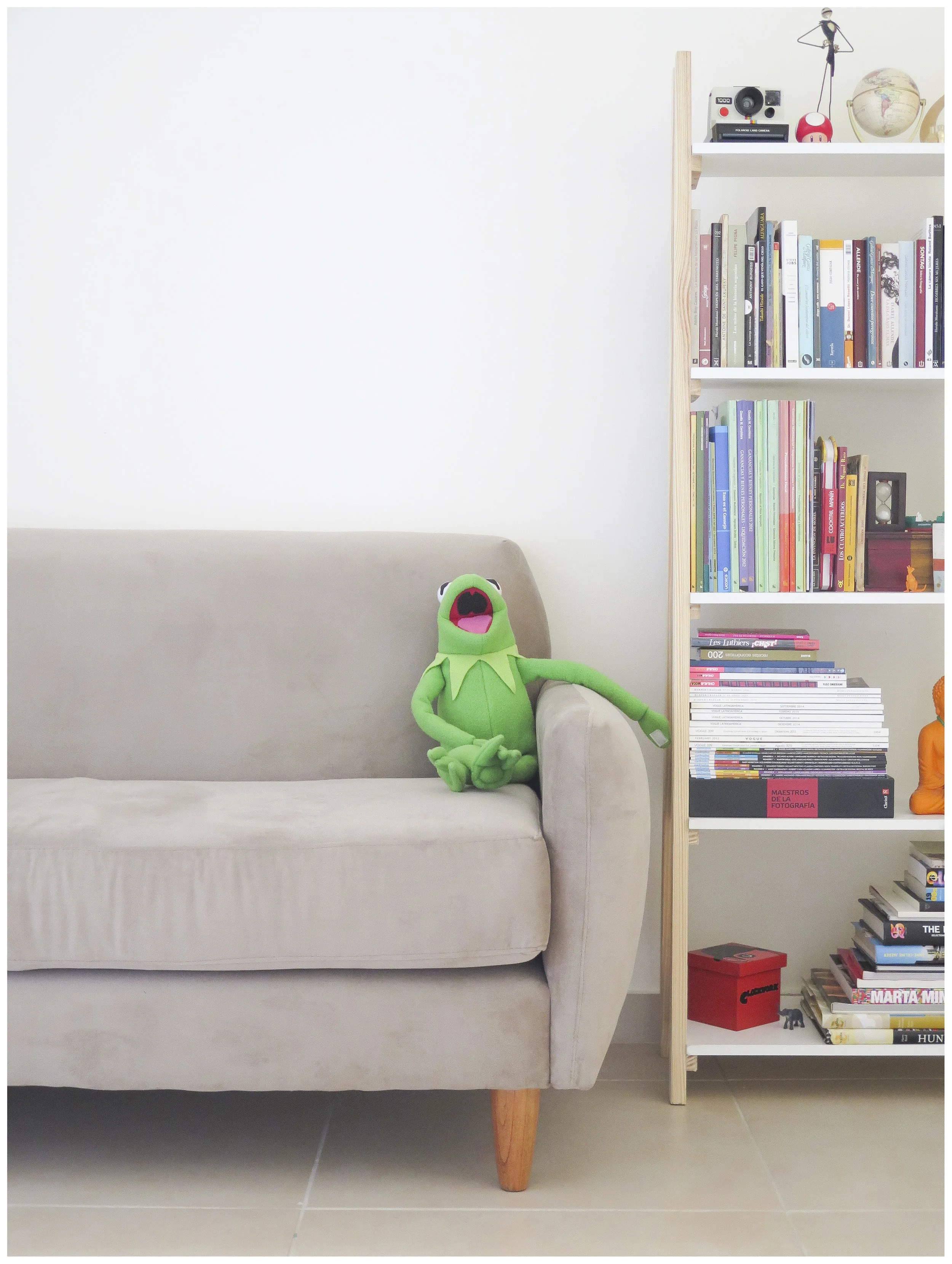 Kermit at the Club