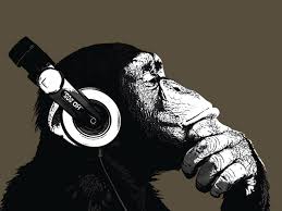 chimp.jpeg