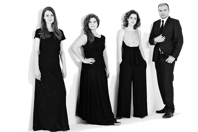 Pallade Musica: Quatuors à Paris