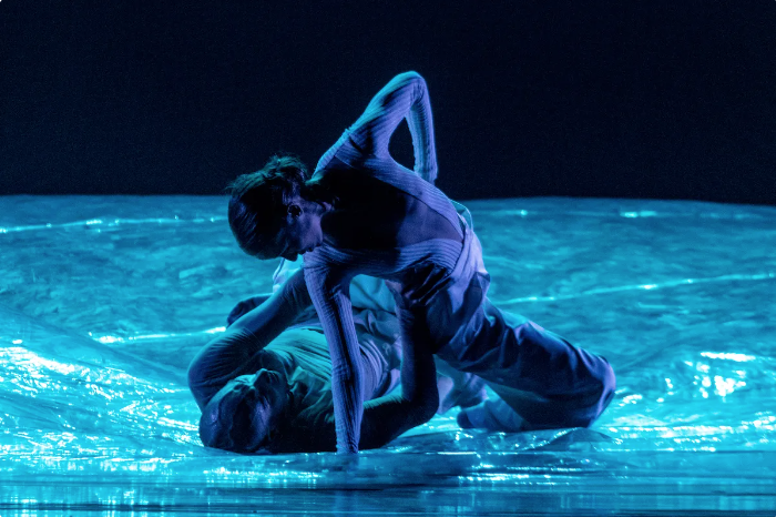 Focus Danse Bach