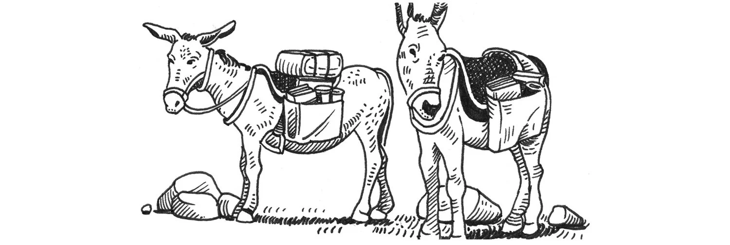Black and white ink illustration drawing of two mules by Matt Hollings aka Mono Matt