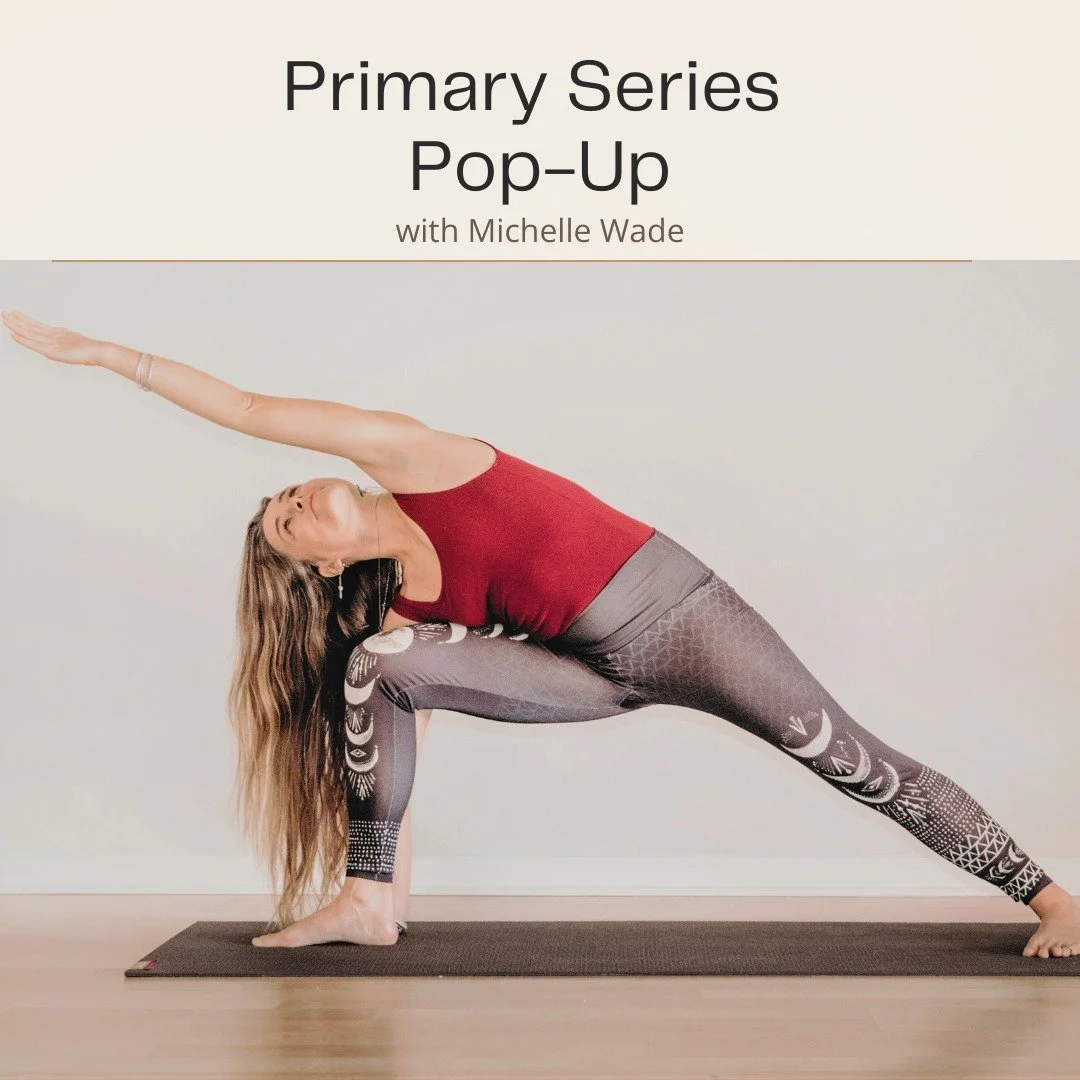 🔥 Tomorrow at 10 AM &mdash; Ashtanga Primary Series Pop-Up with @michellewadeyoga 
Step into the steady, rhythmic power of the Ashtanga Primary Series. Michelle returns to guide you through this traditional sequence with her signature clarity &mdash