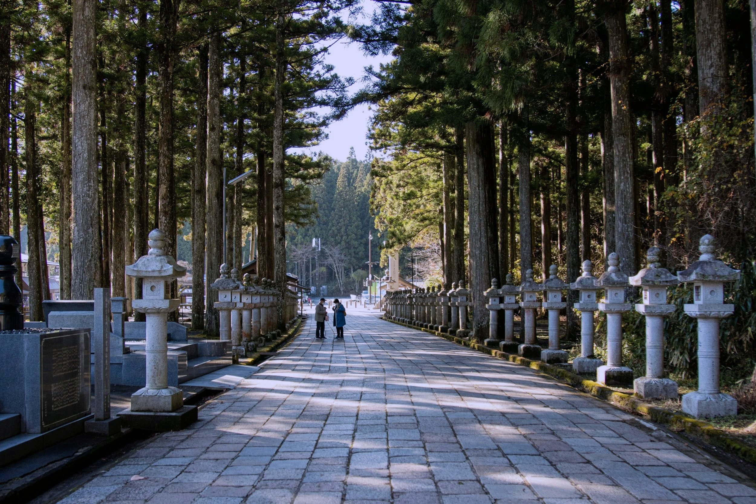 Lantern-lit pathway through Koyasan’s ancient cedar forest, part of a mindful travel itinerary in Japan.
