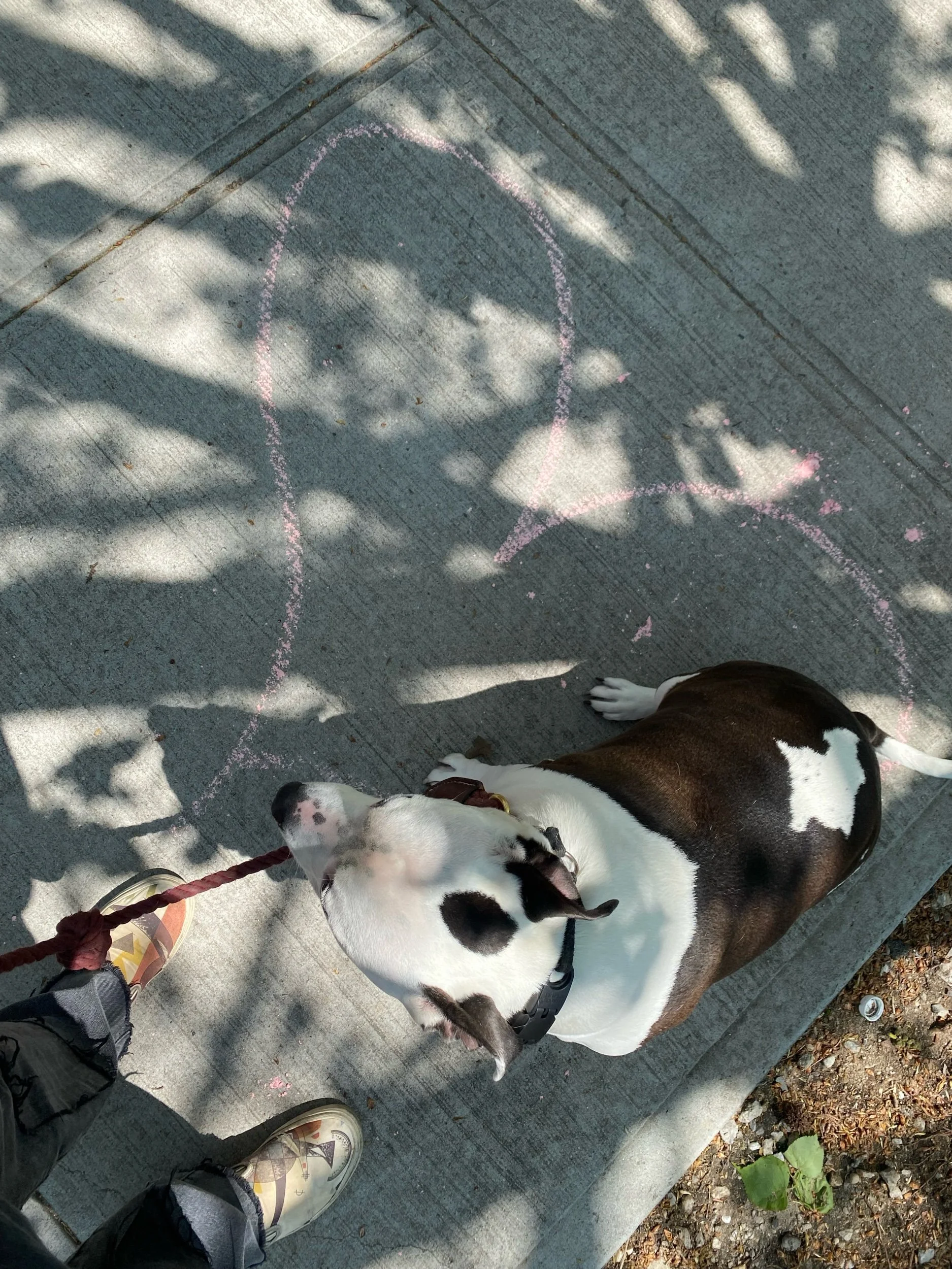 IMG_7105.jpeg