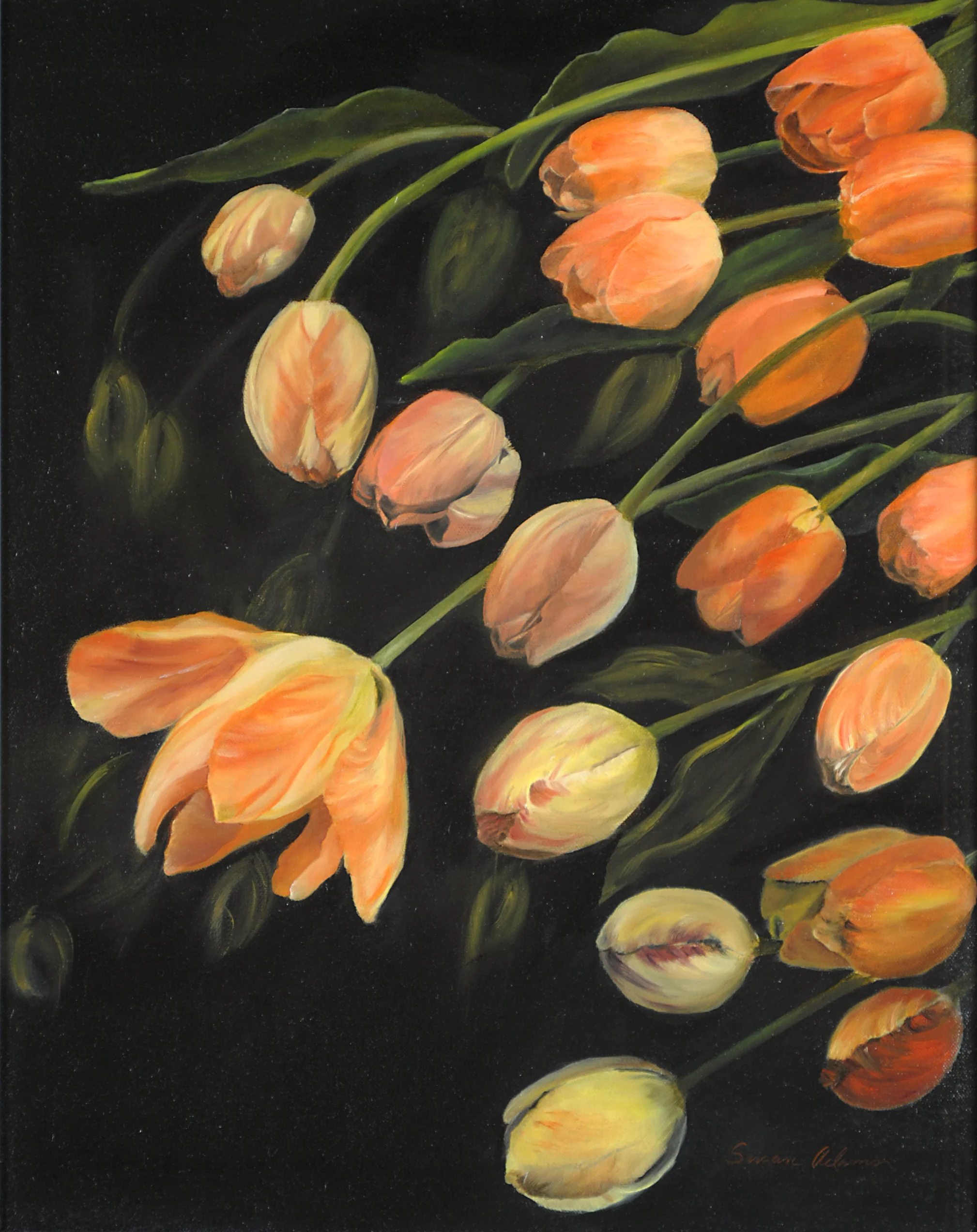 _DSC0174 copy no frame.jpg