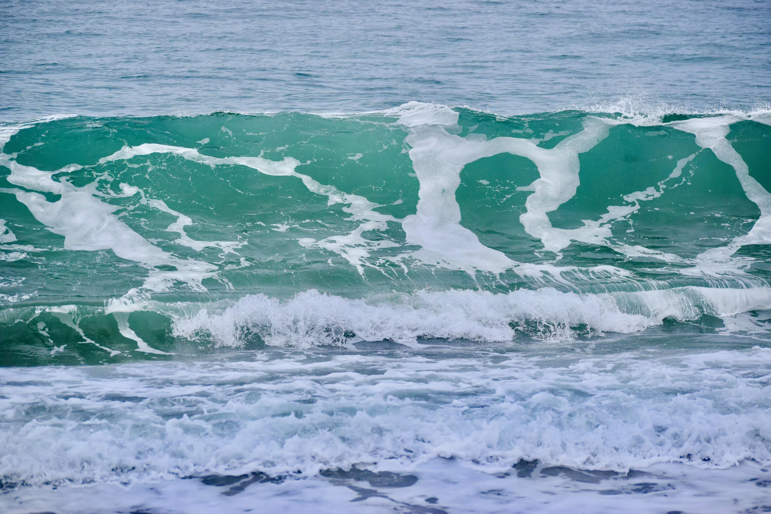DSC_0160.jpg