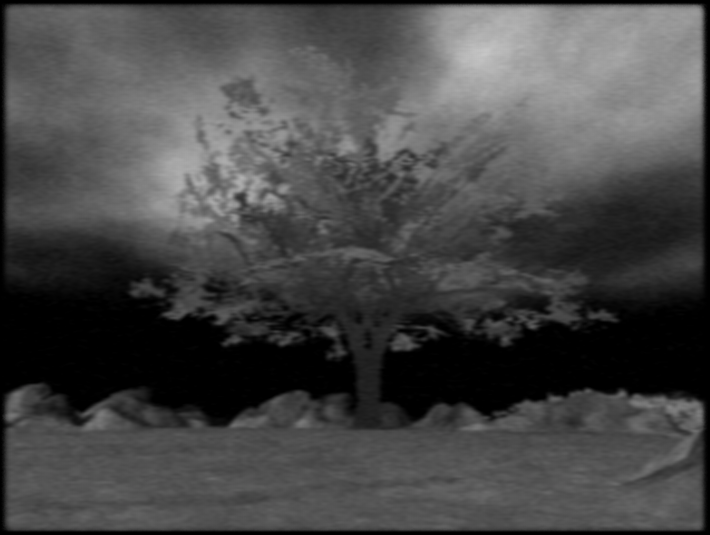 TNJ_Tree.png