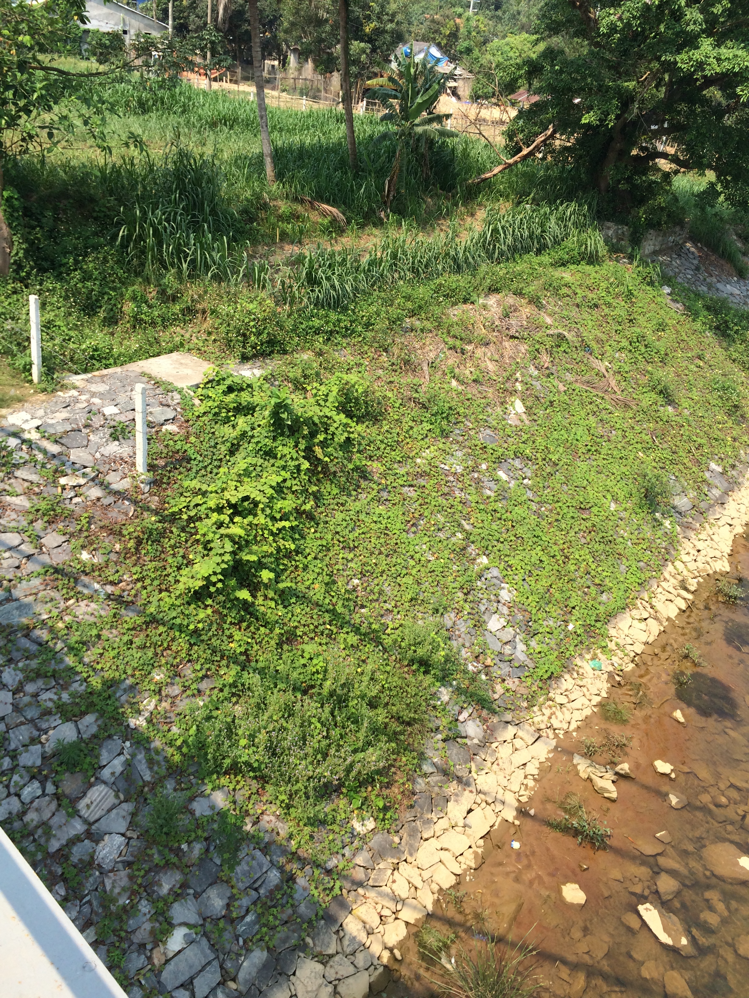 A newly built rock wall designed to protect from flooding.