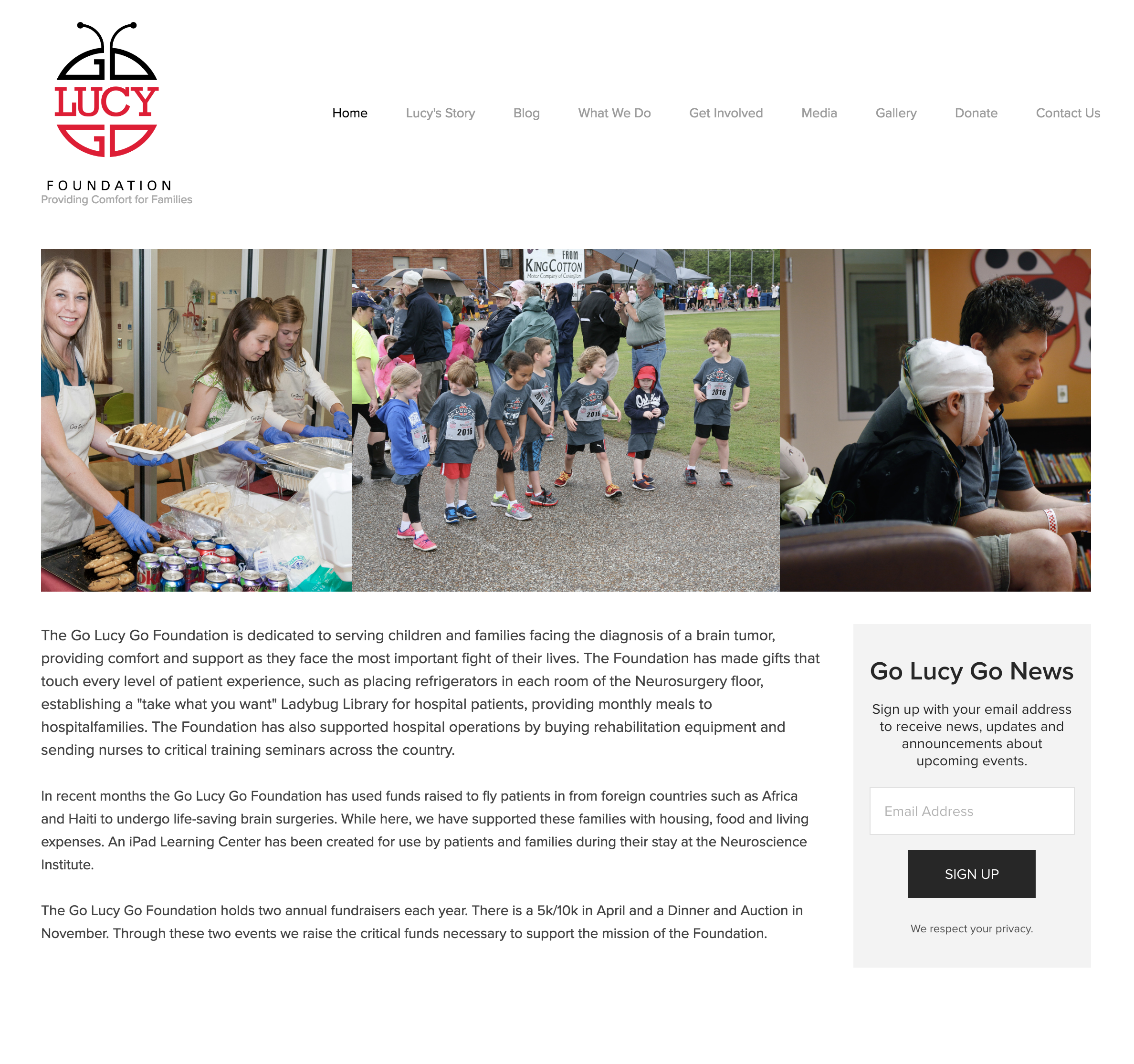 Website - Go Lucy Go Foundation