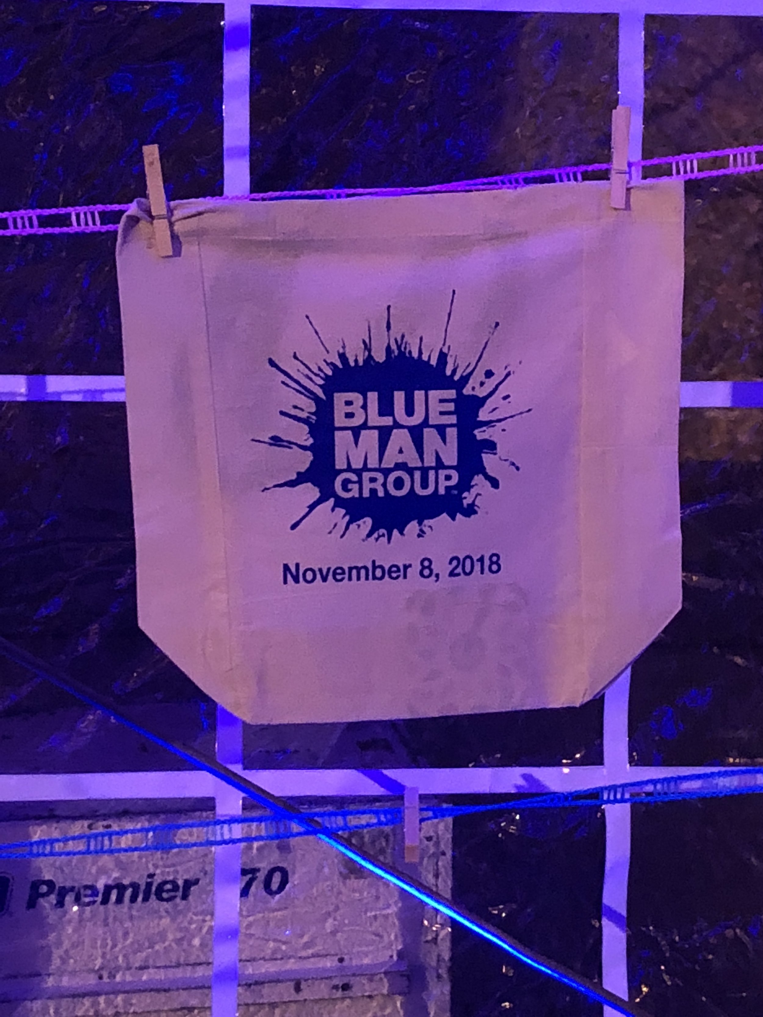 Blueman LAI 2018 8.JPG